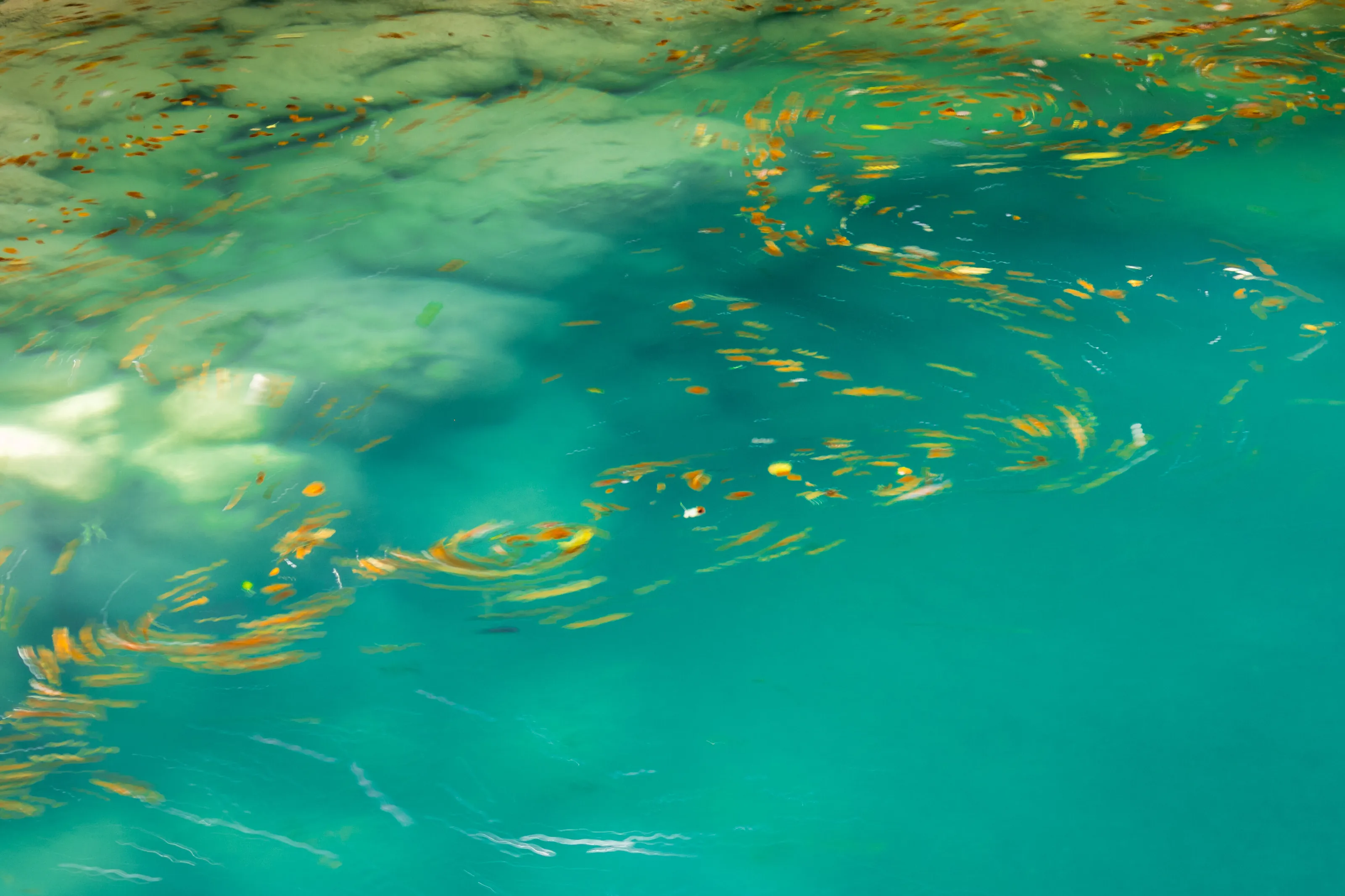 Impressionist swirls