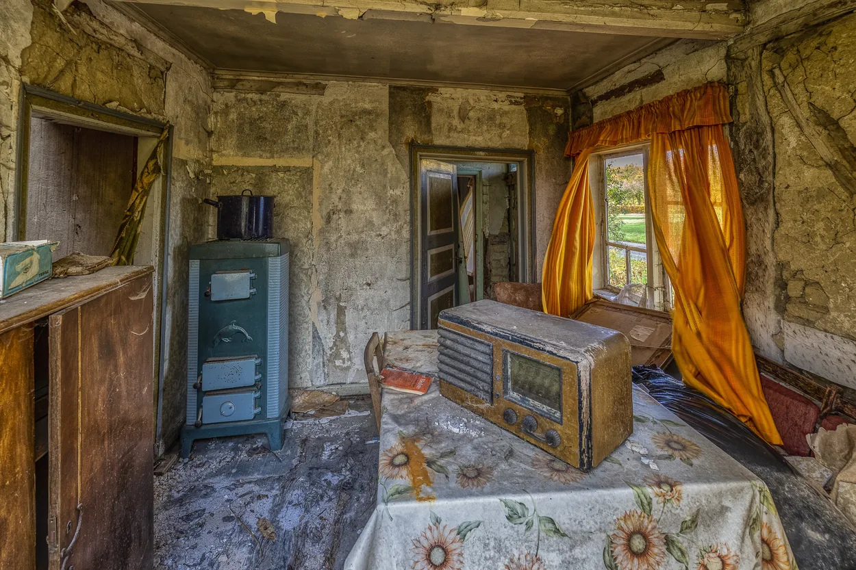 Entry 21189561
