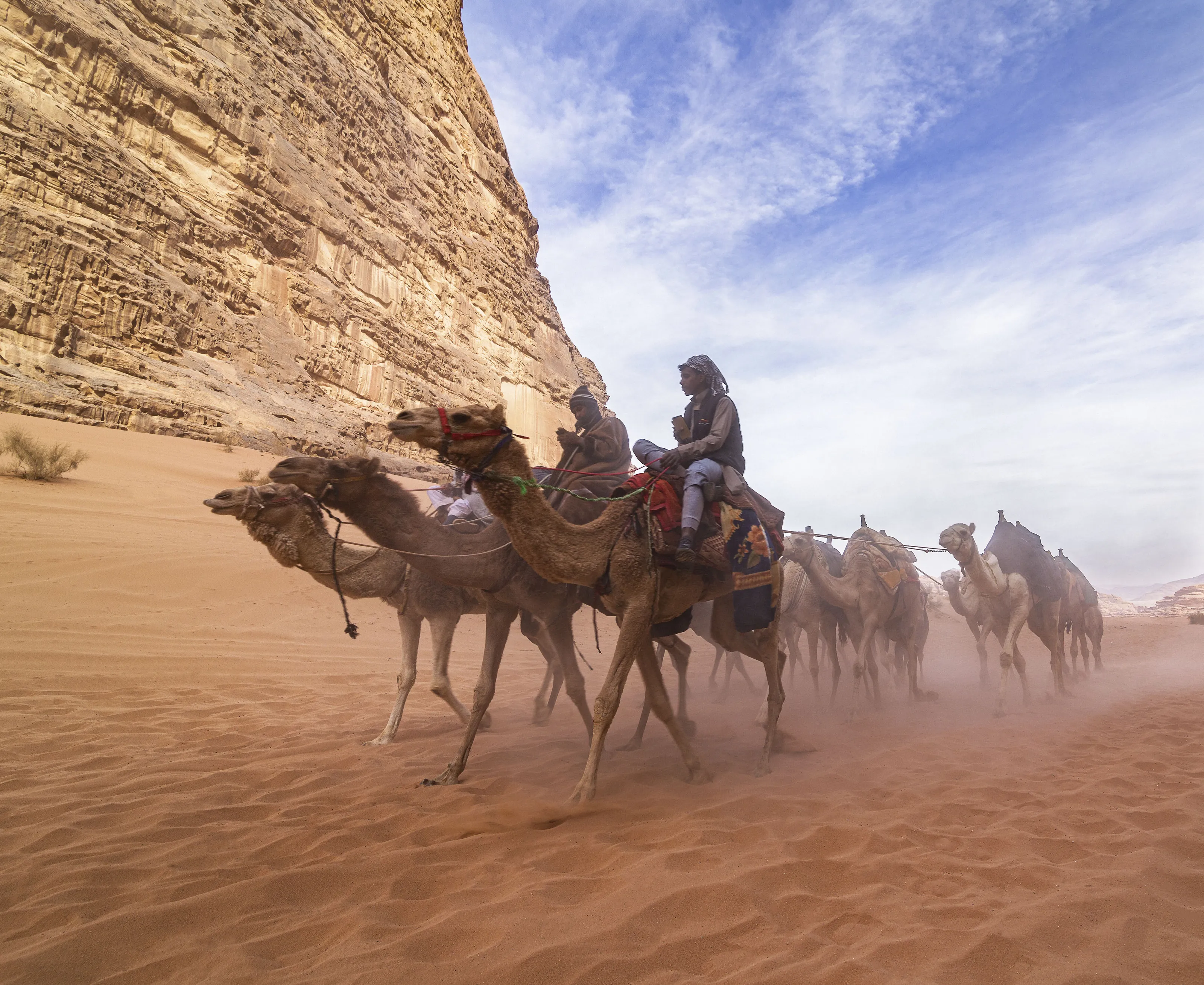 Camels in the Valley of the Moon