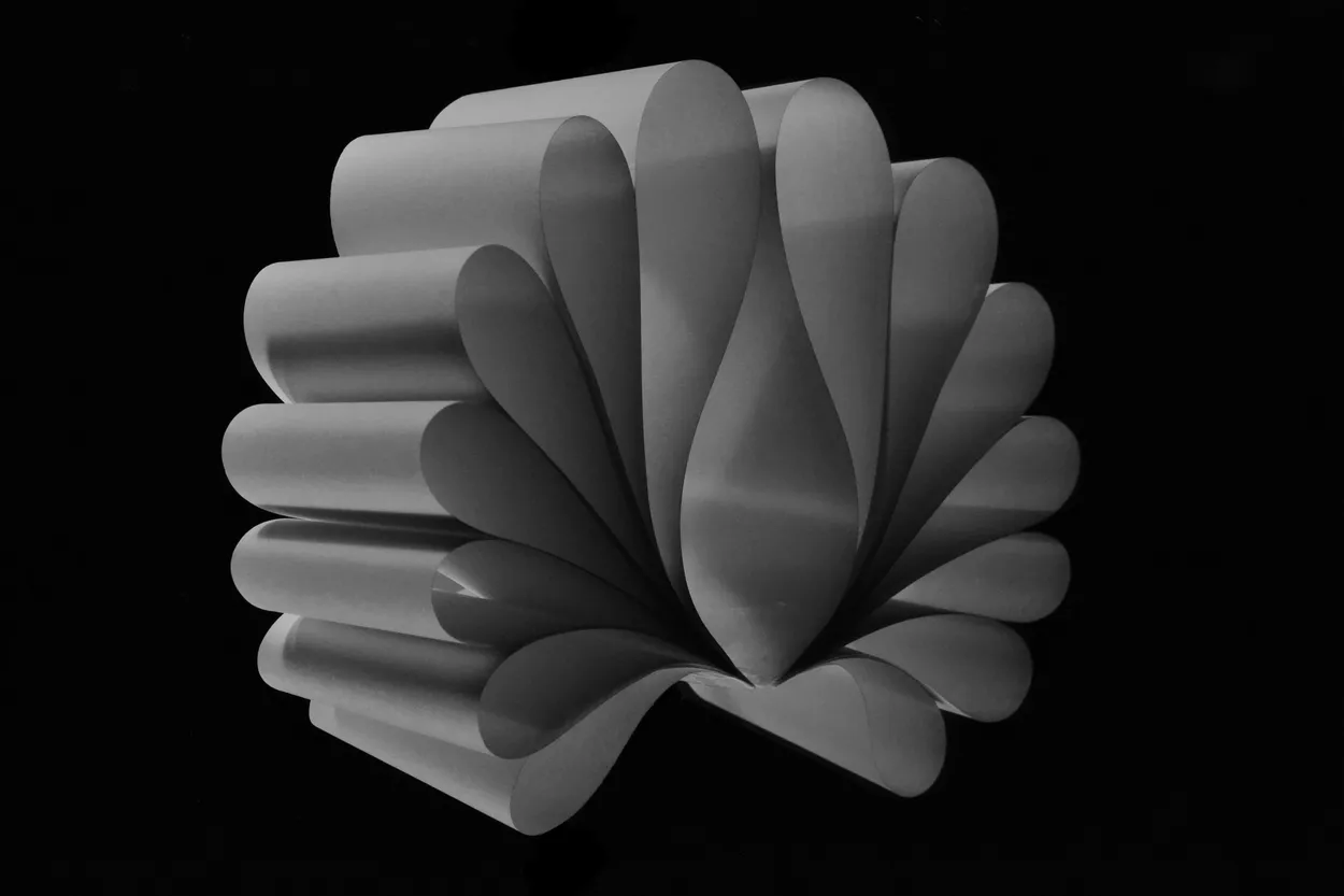 Entry 3251537