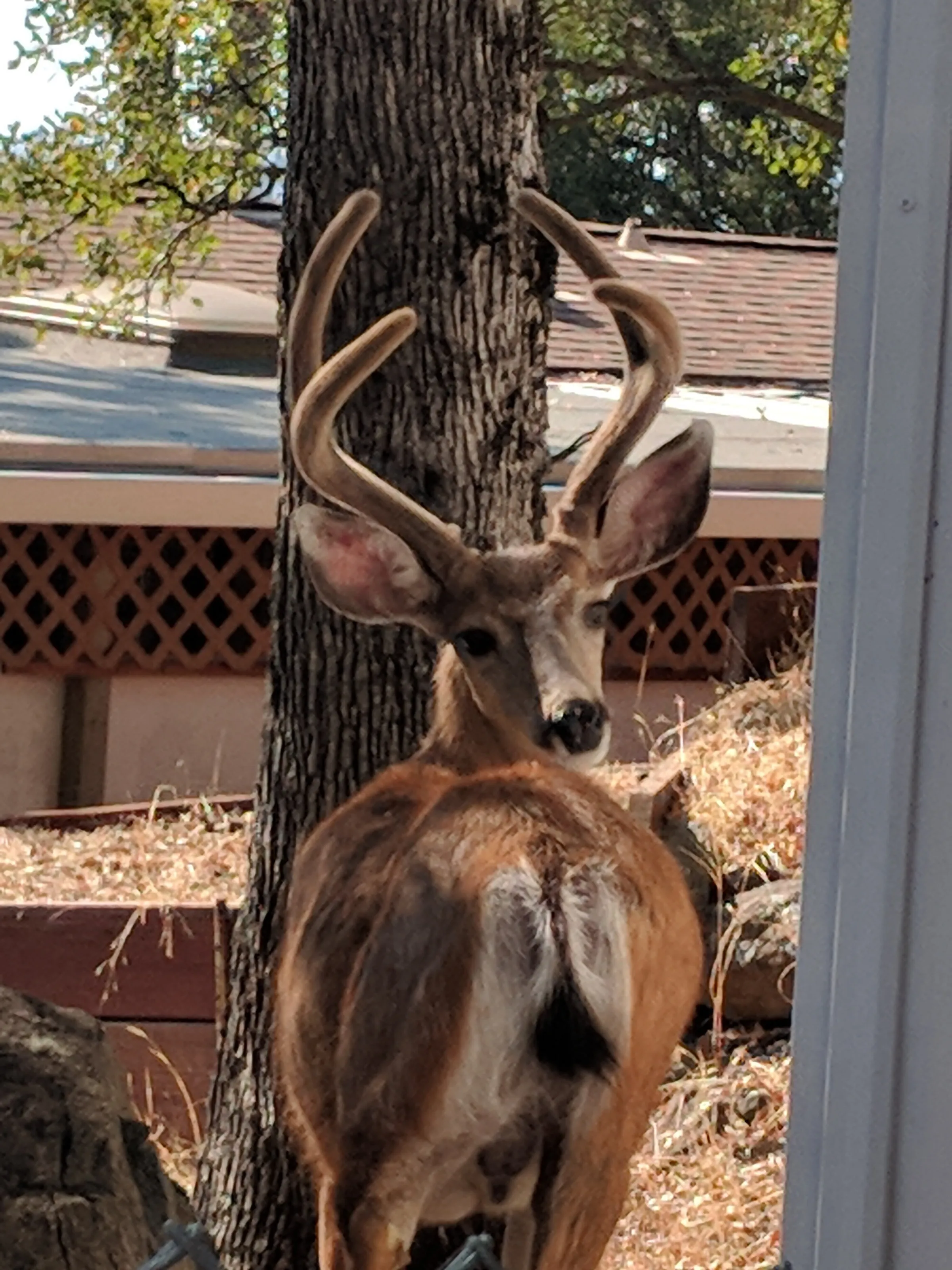 The buck stops here