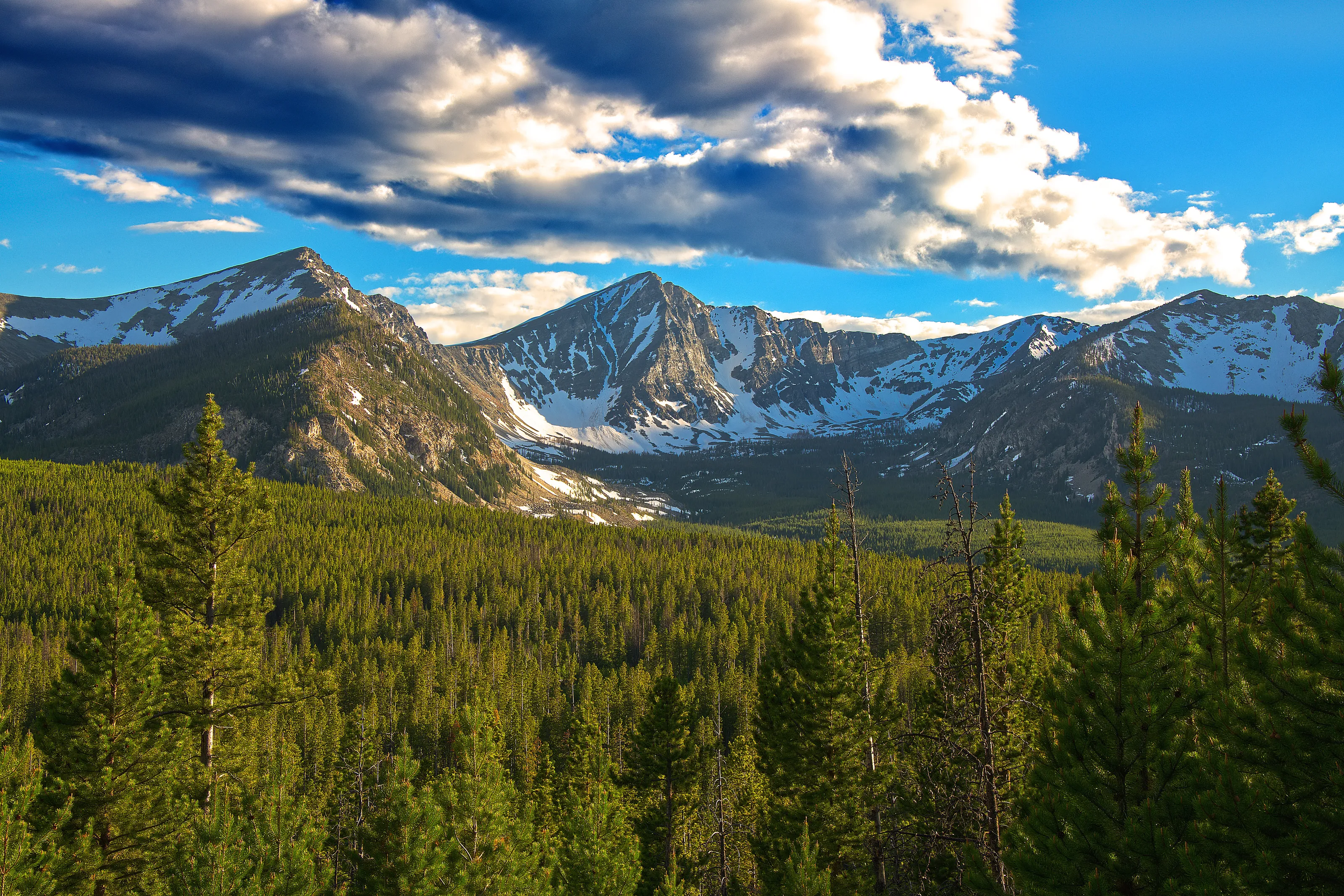 Pintler Mountain Range