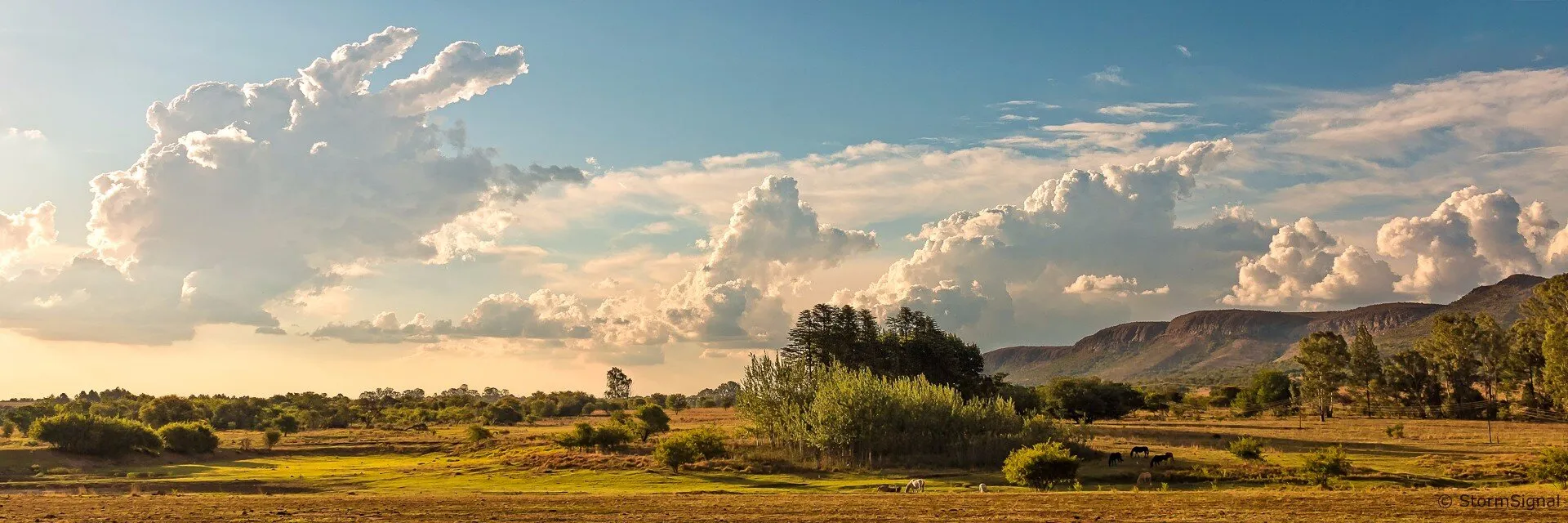 Thaba Manzi Ranch