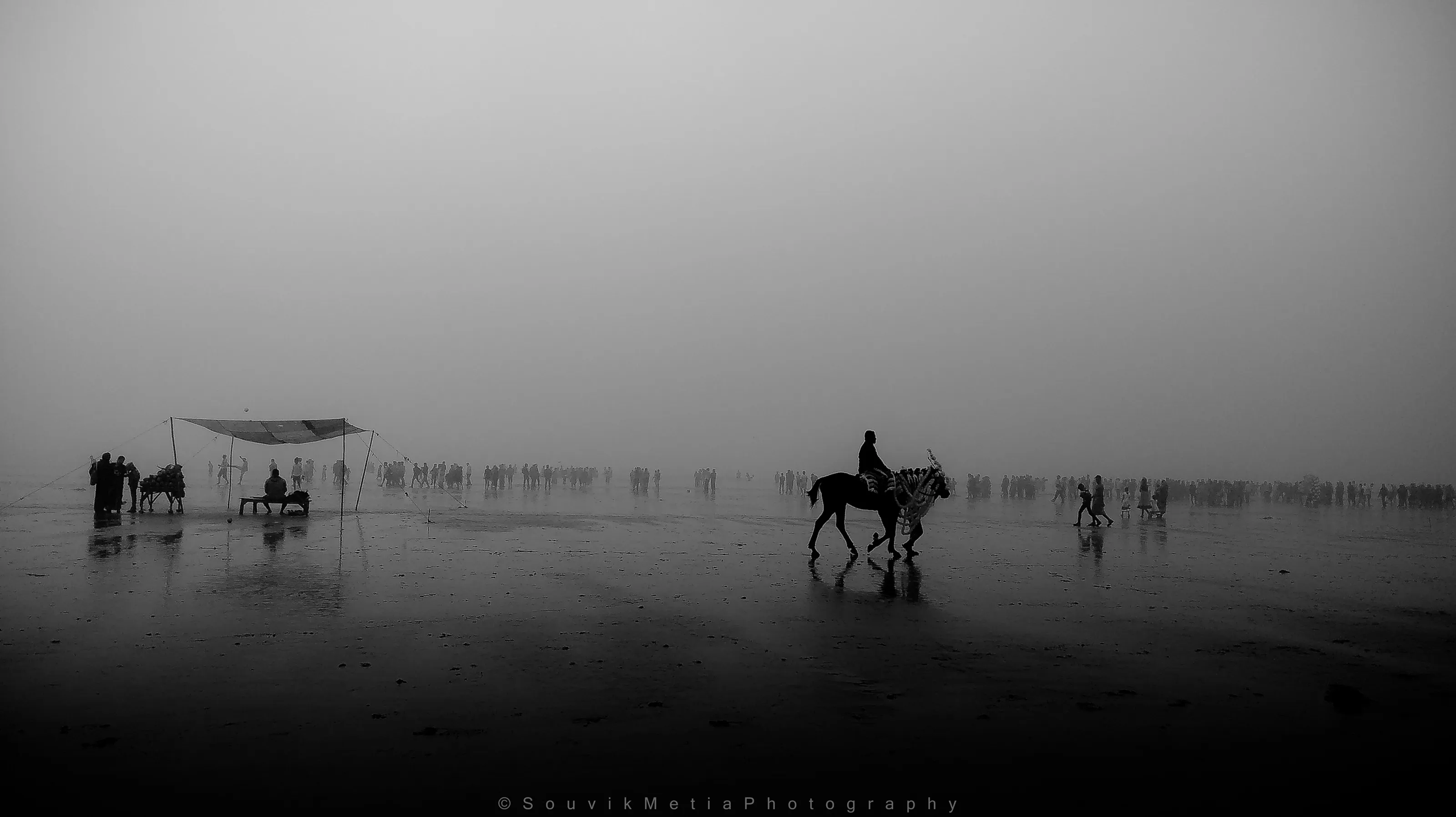 ||The Horse Man||