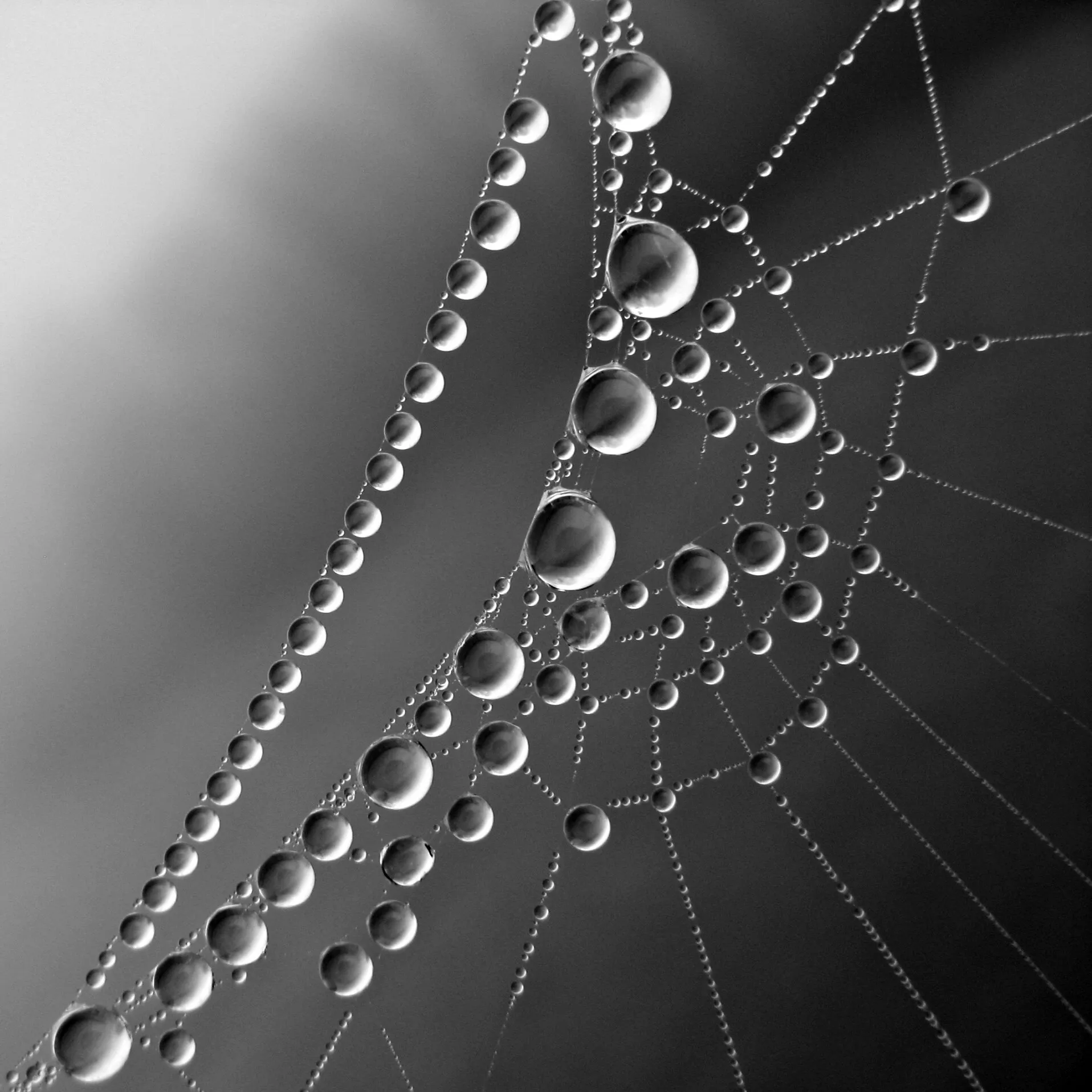 Circles