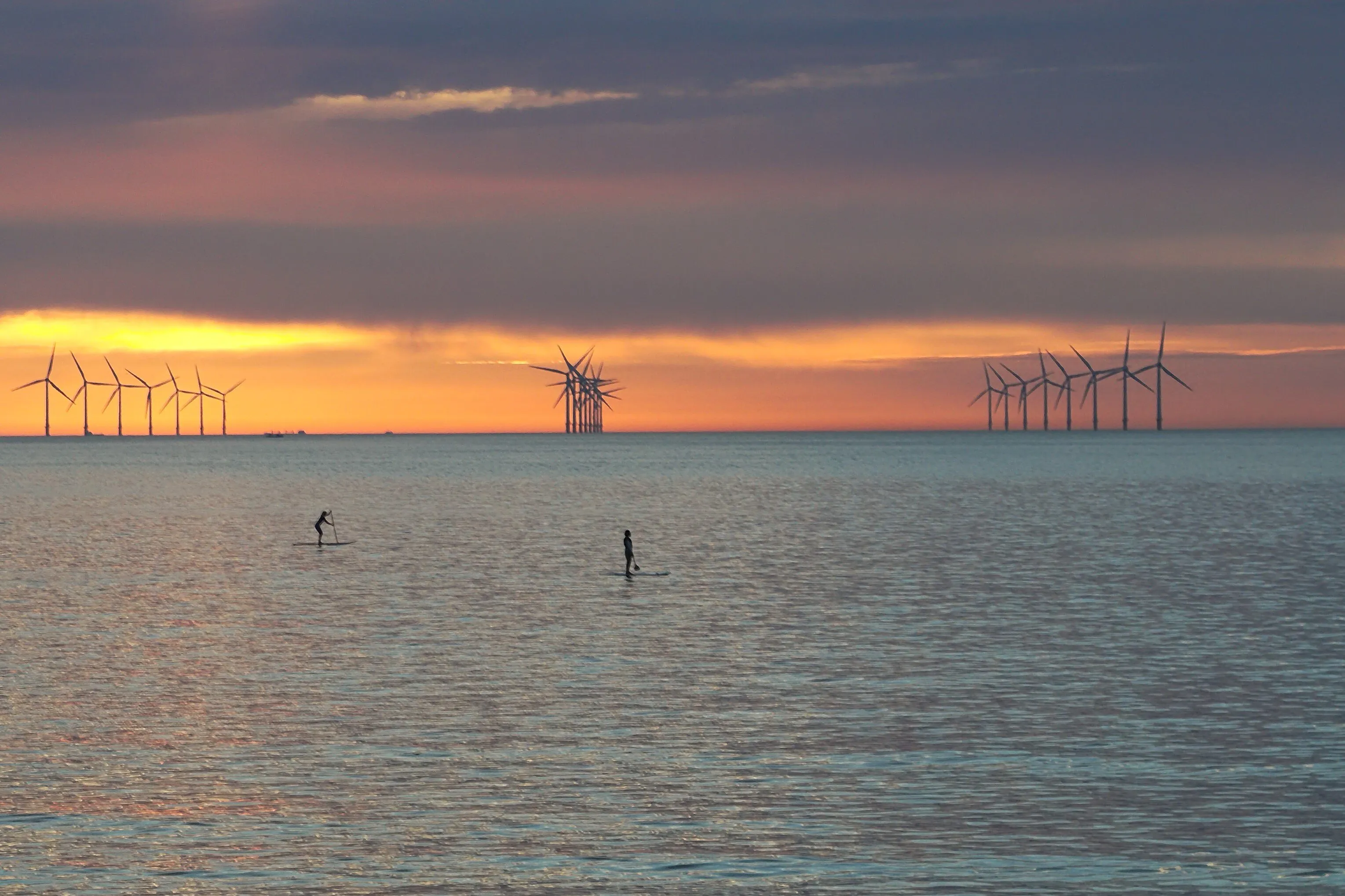 Paddle Boarders
