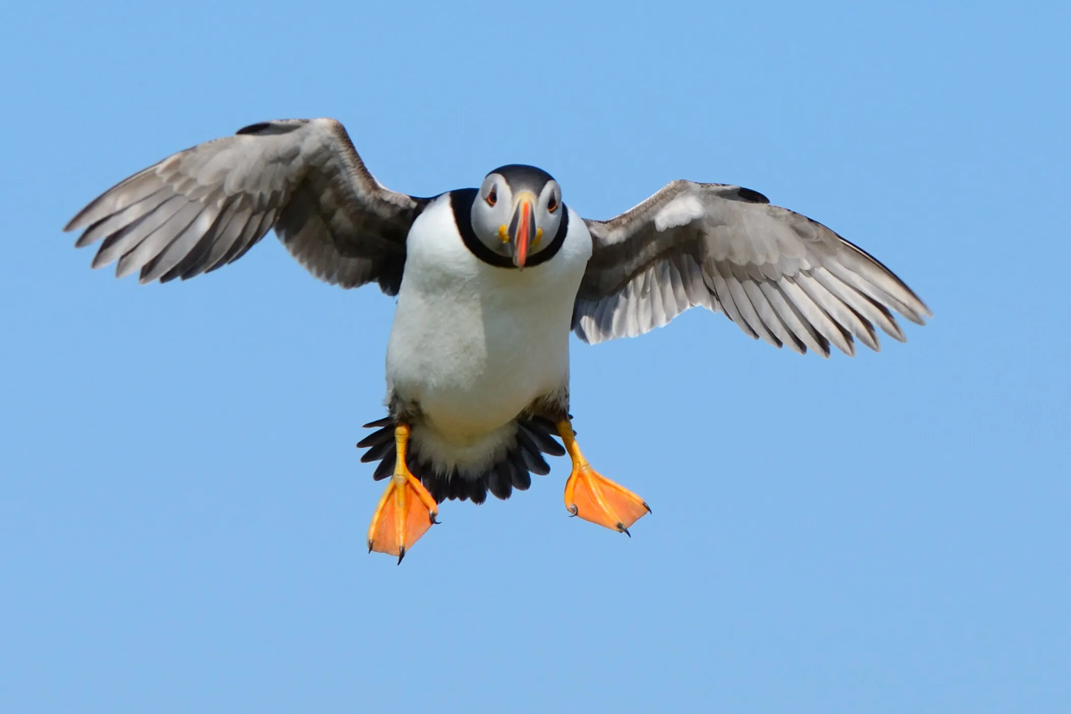 Incoming!