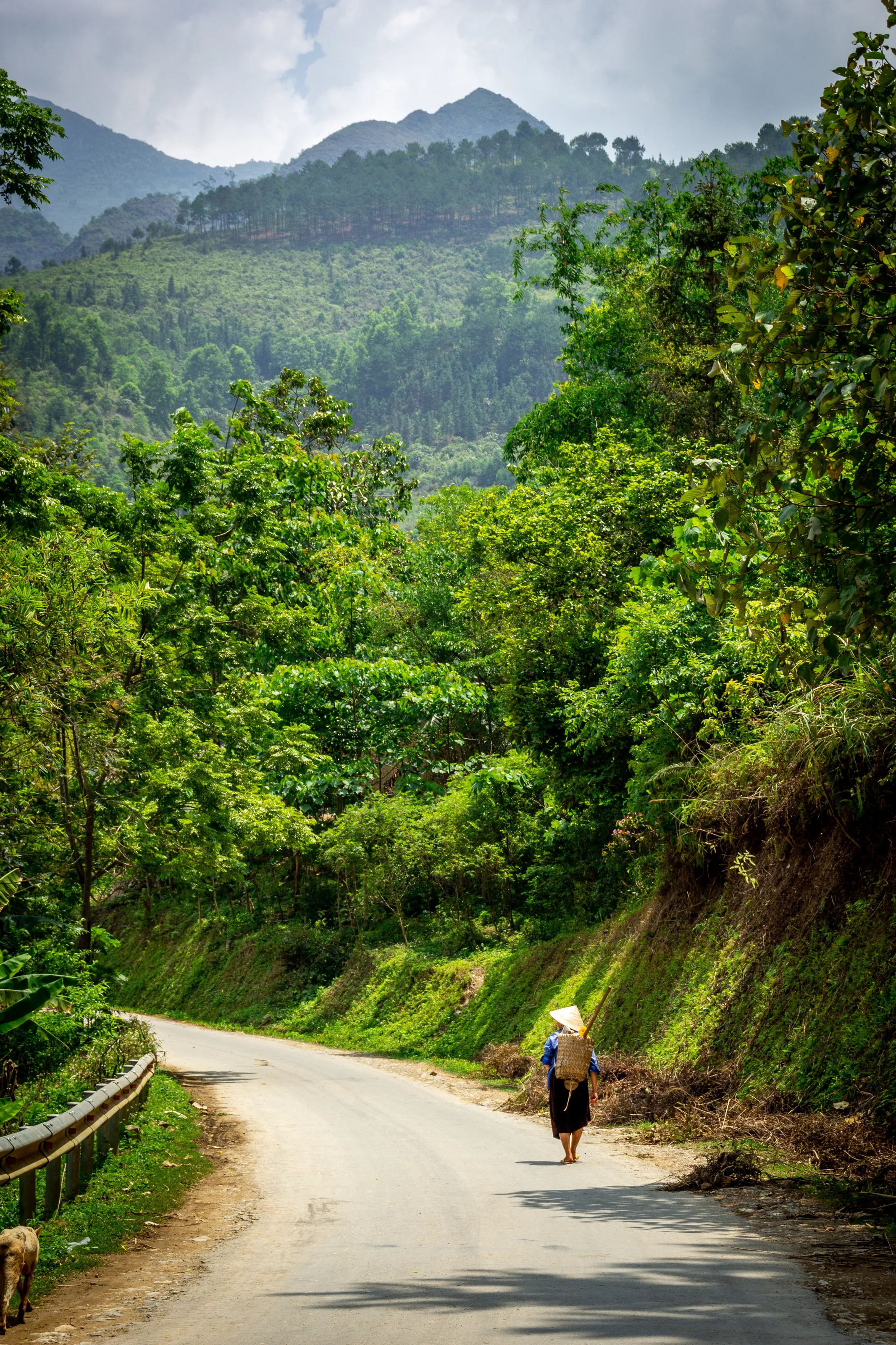 Walking home after a day's work in Ha Giang, Vietnam