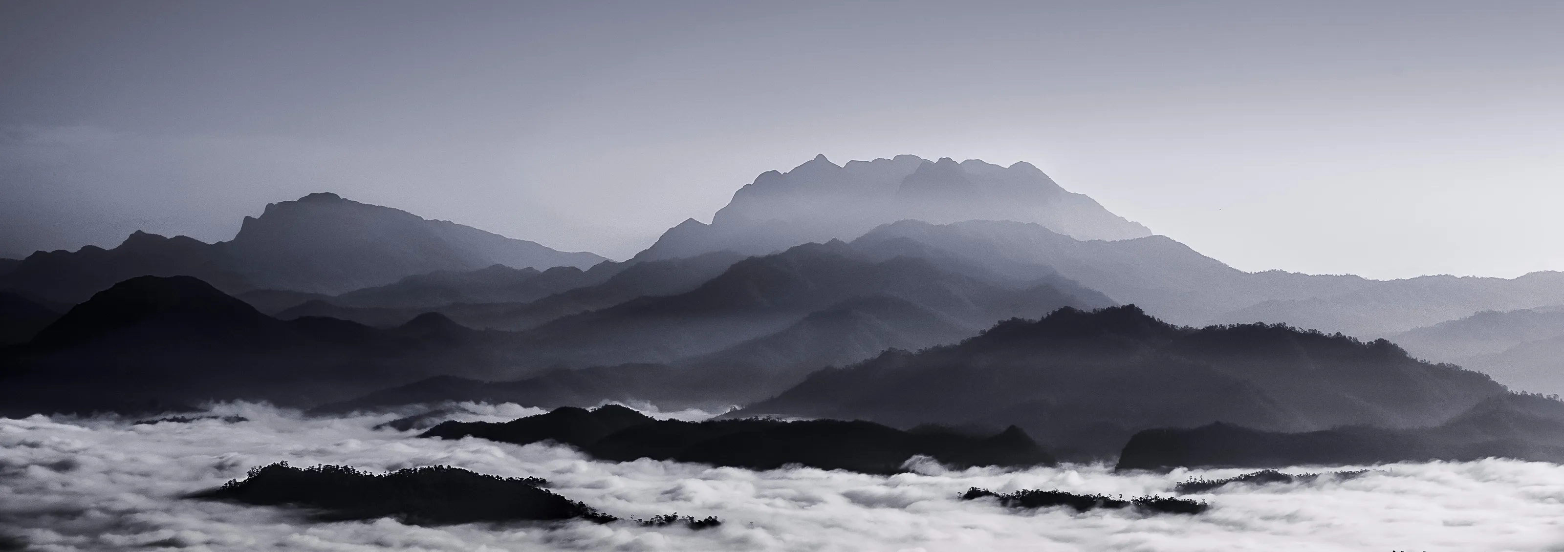 Misty Hill