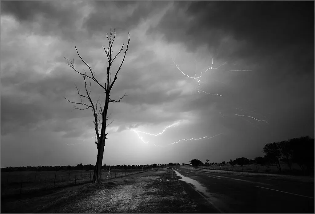 Lightning and tree