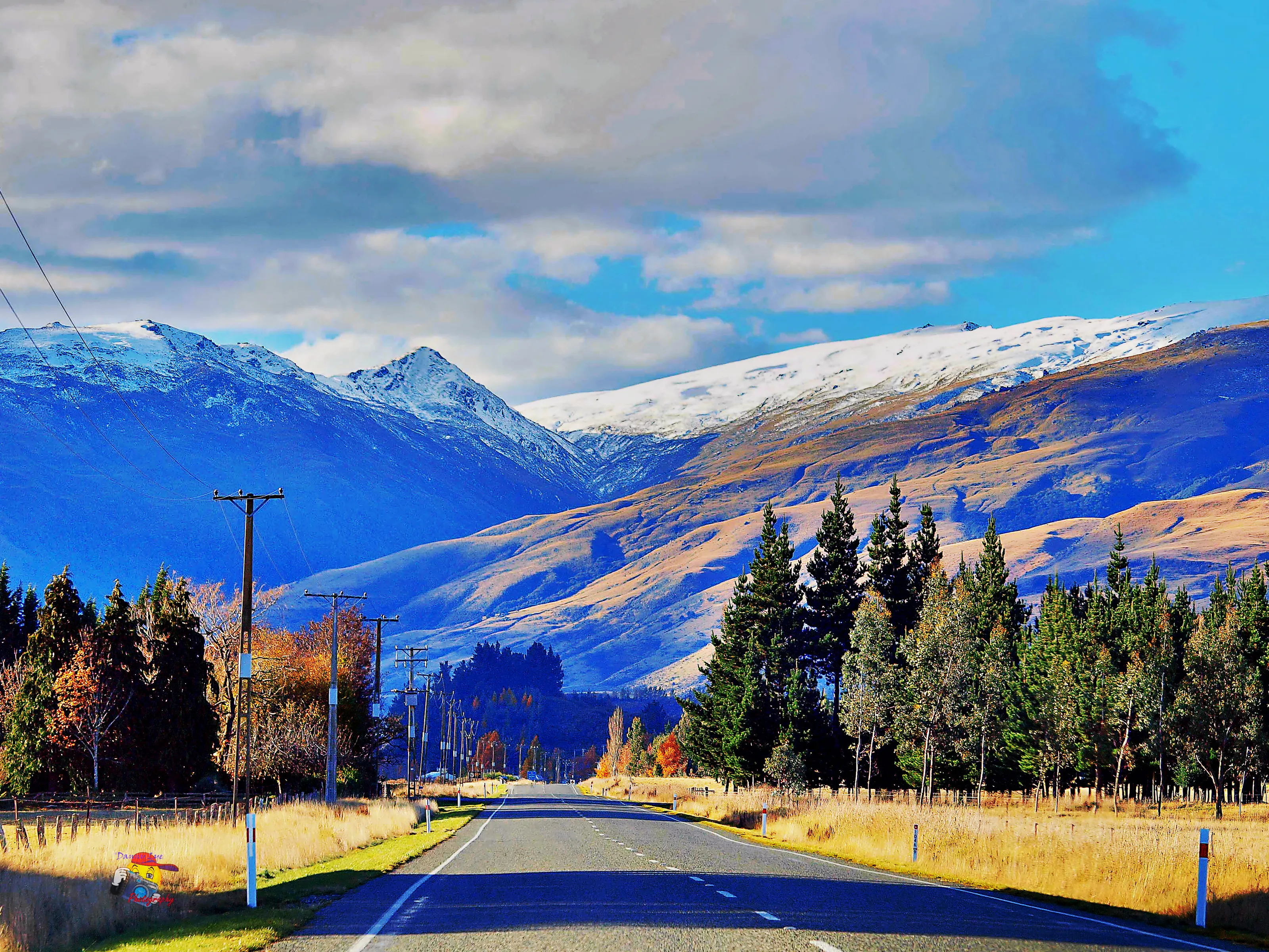 Milford South, New Zealand