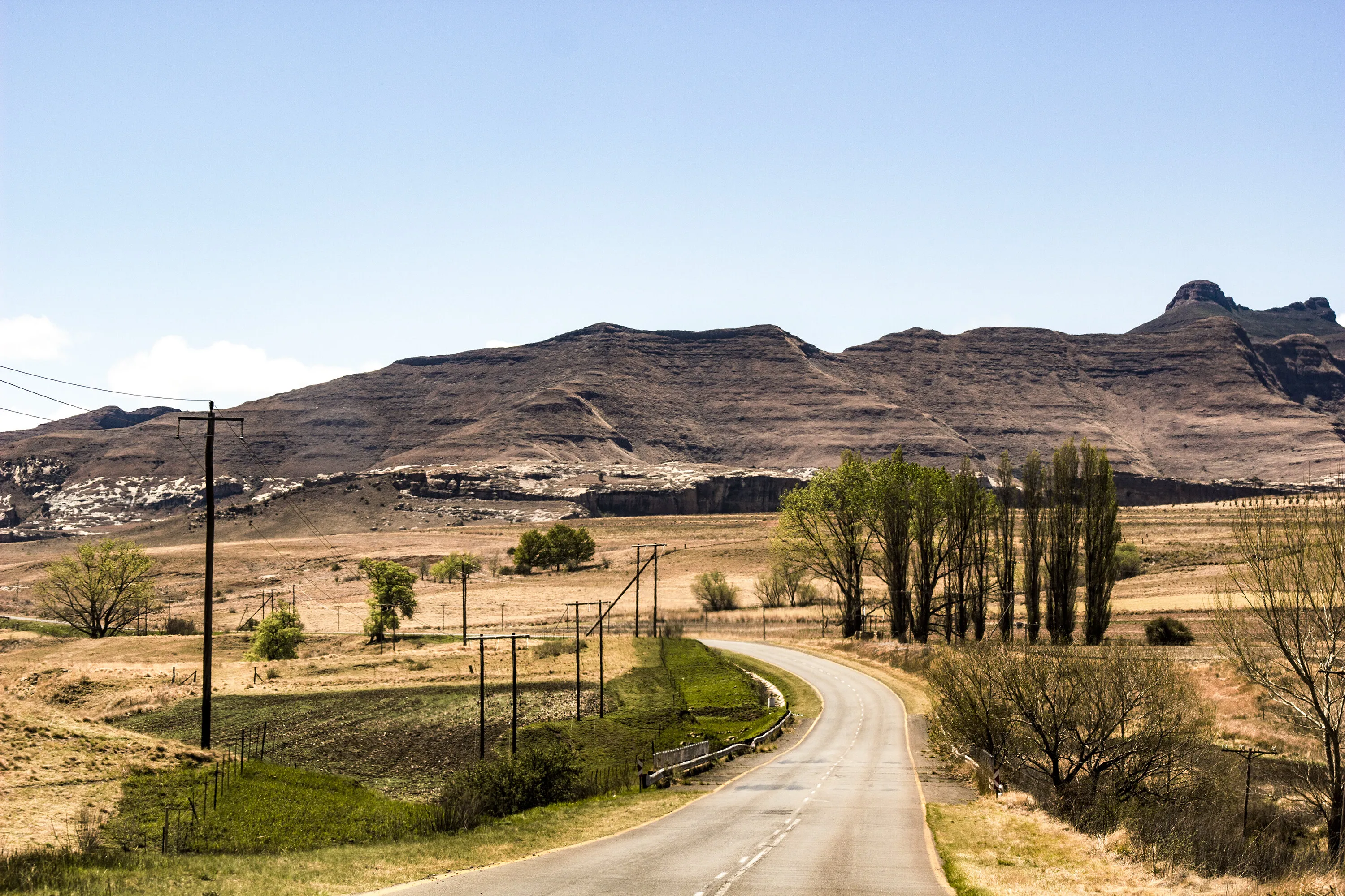 Freestate beauty