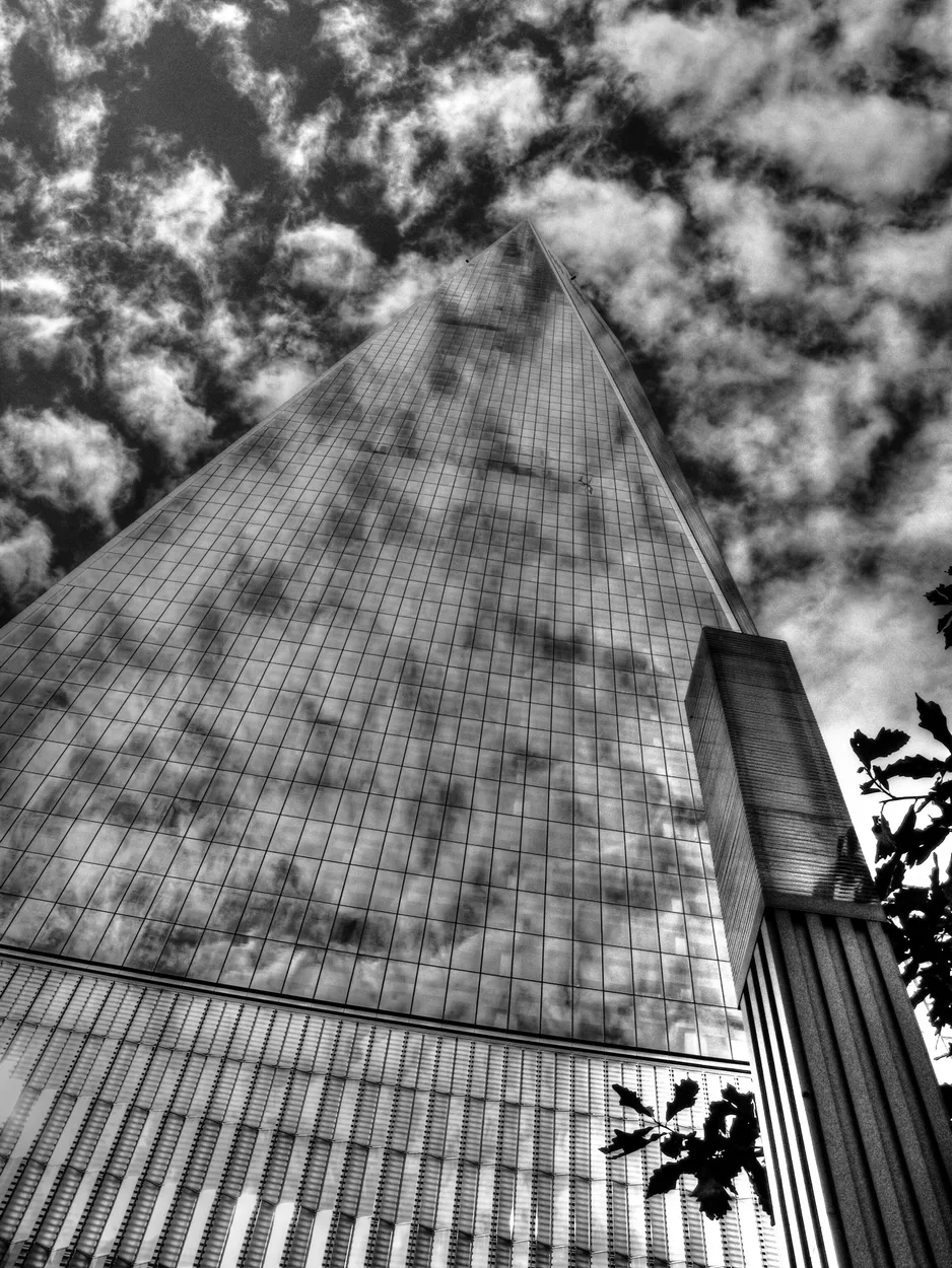 Entry 16205516