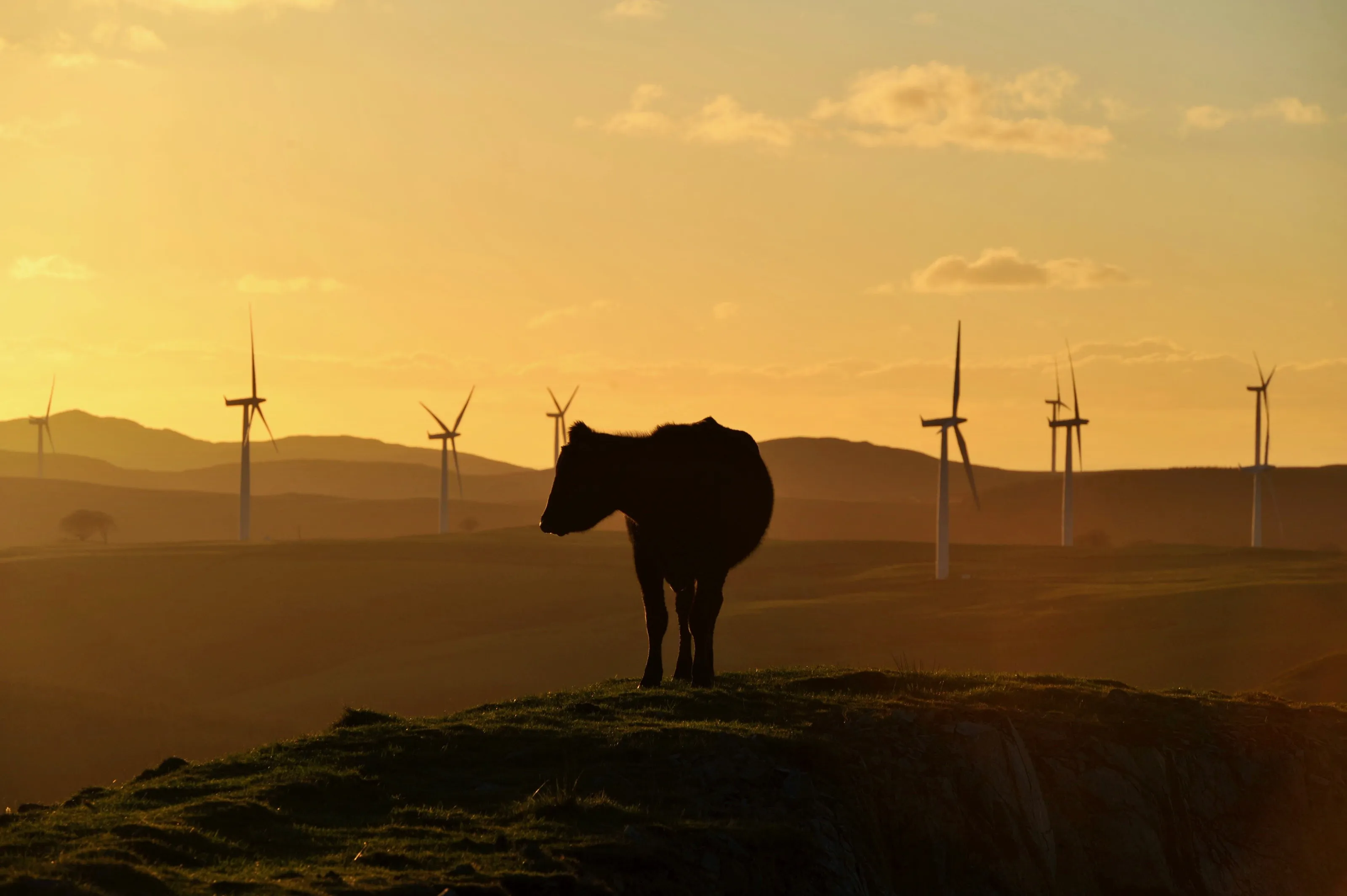 Into the autumn sun wind turbines landscape.