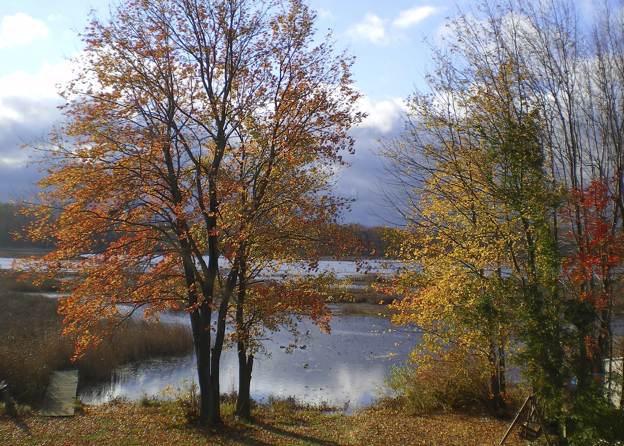Autumn on the lake