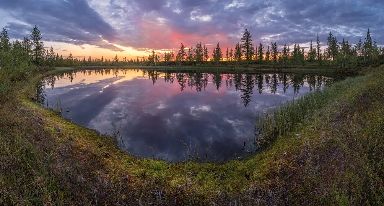 Summer sunset