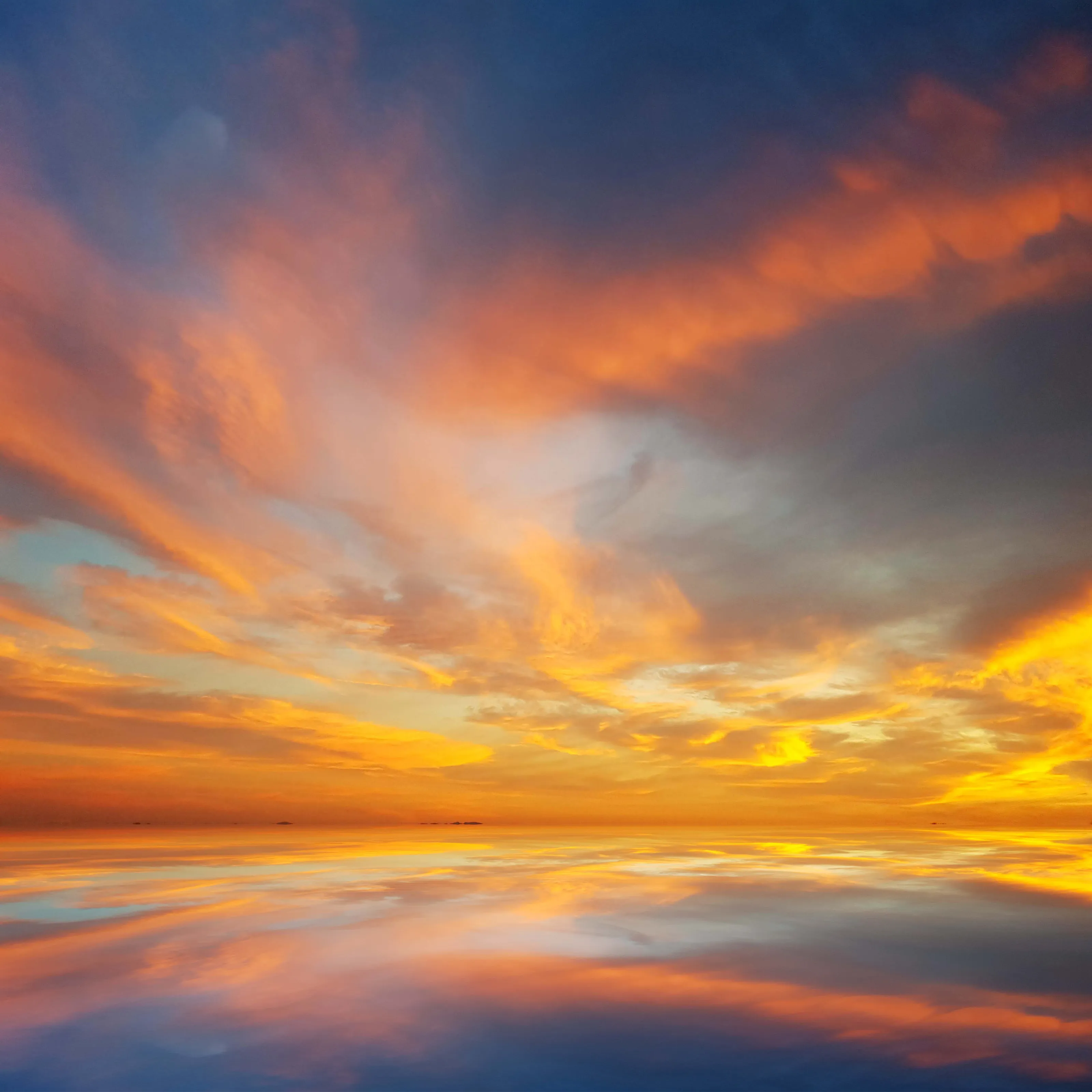 My sea dreams