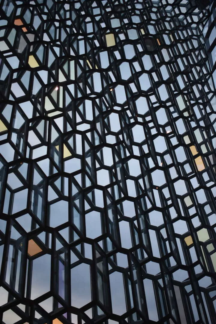 Entry 25041276