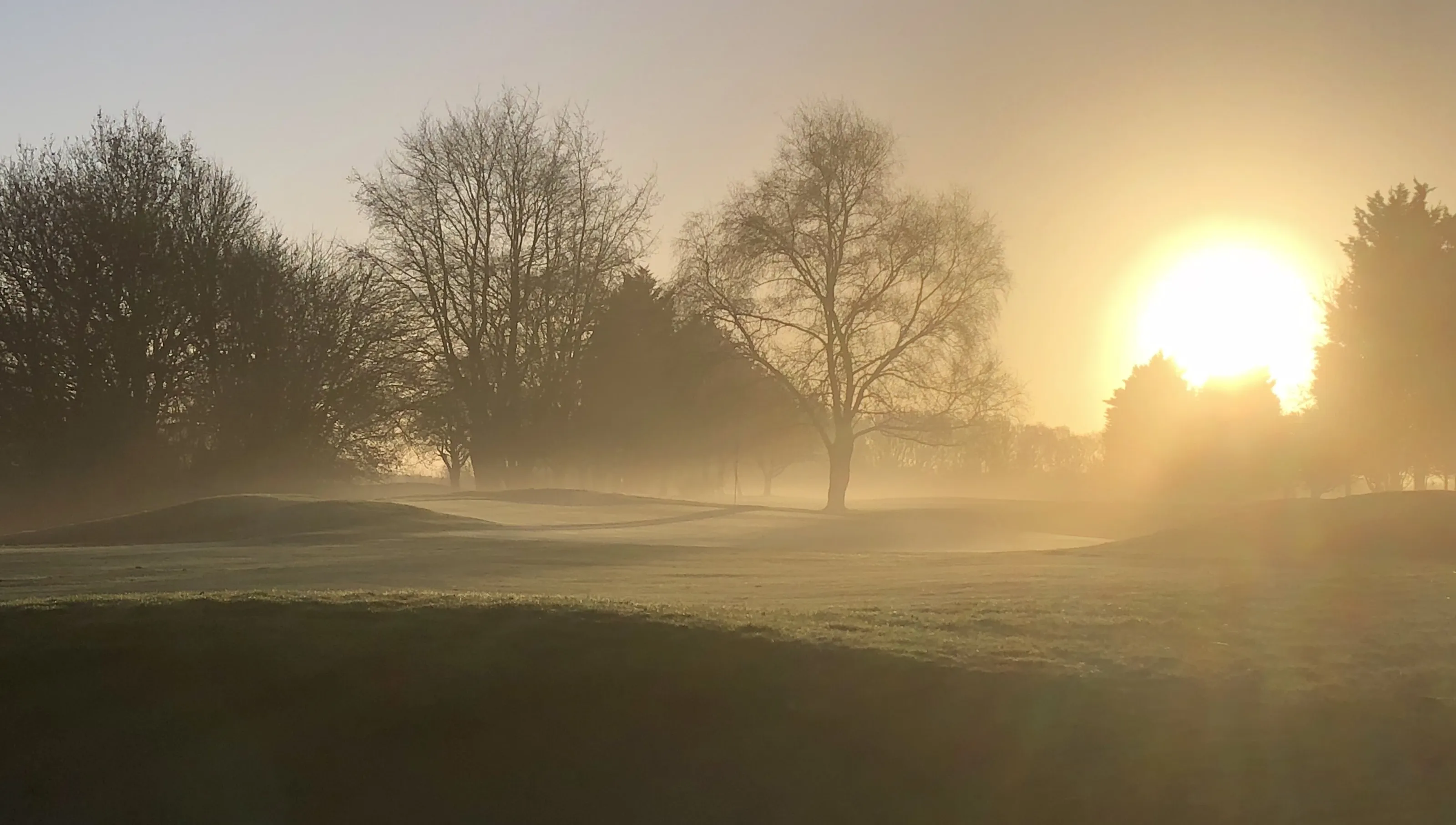 Sunrise 1