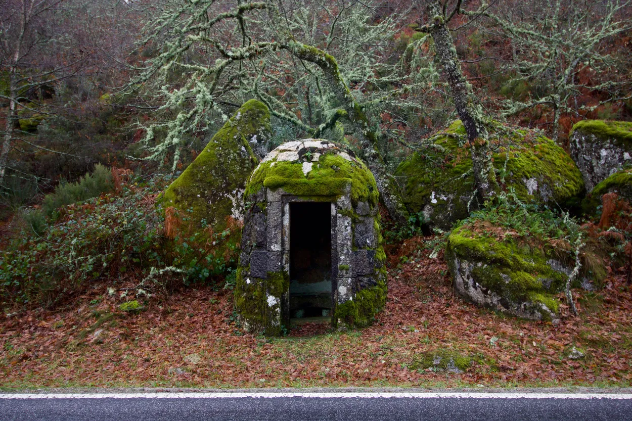 Entry 11161106