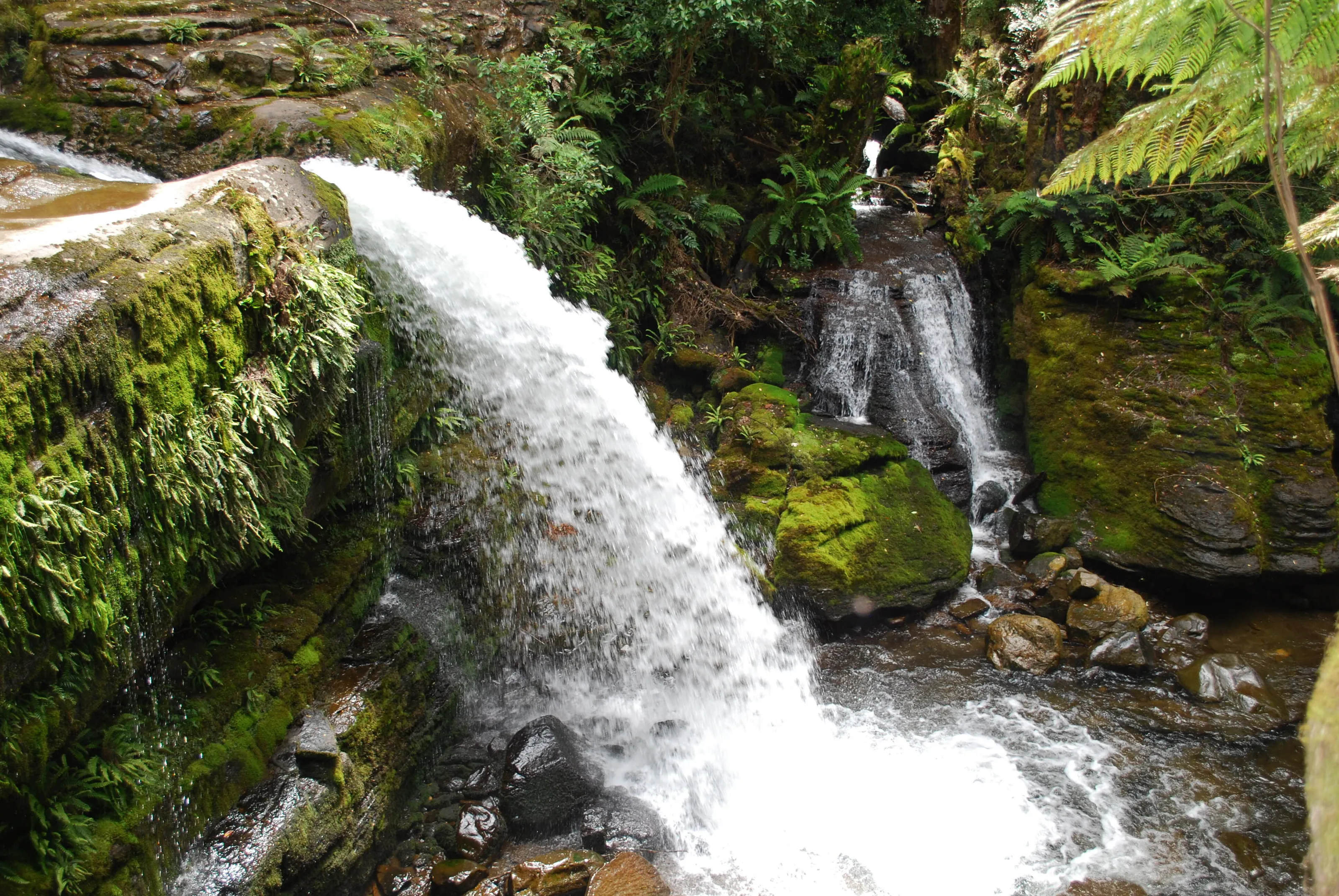 Liffey Falls Tasmania