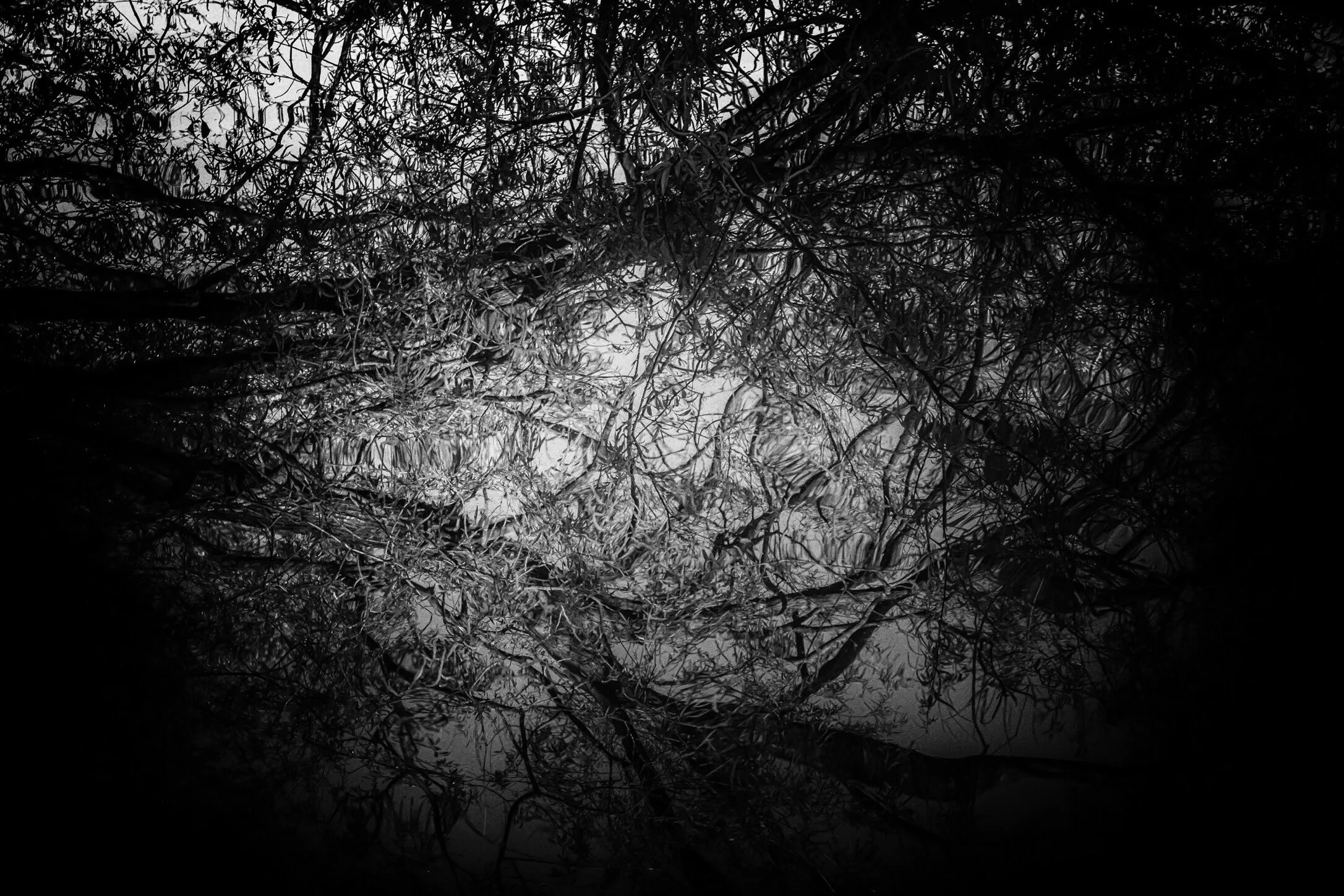 Reflect