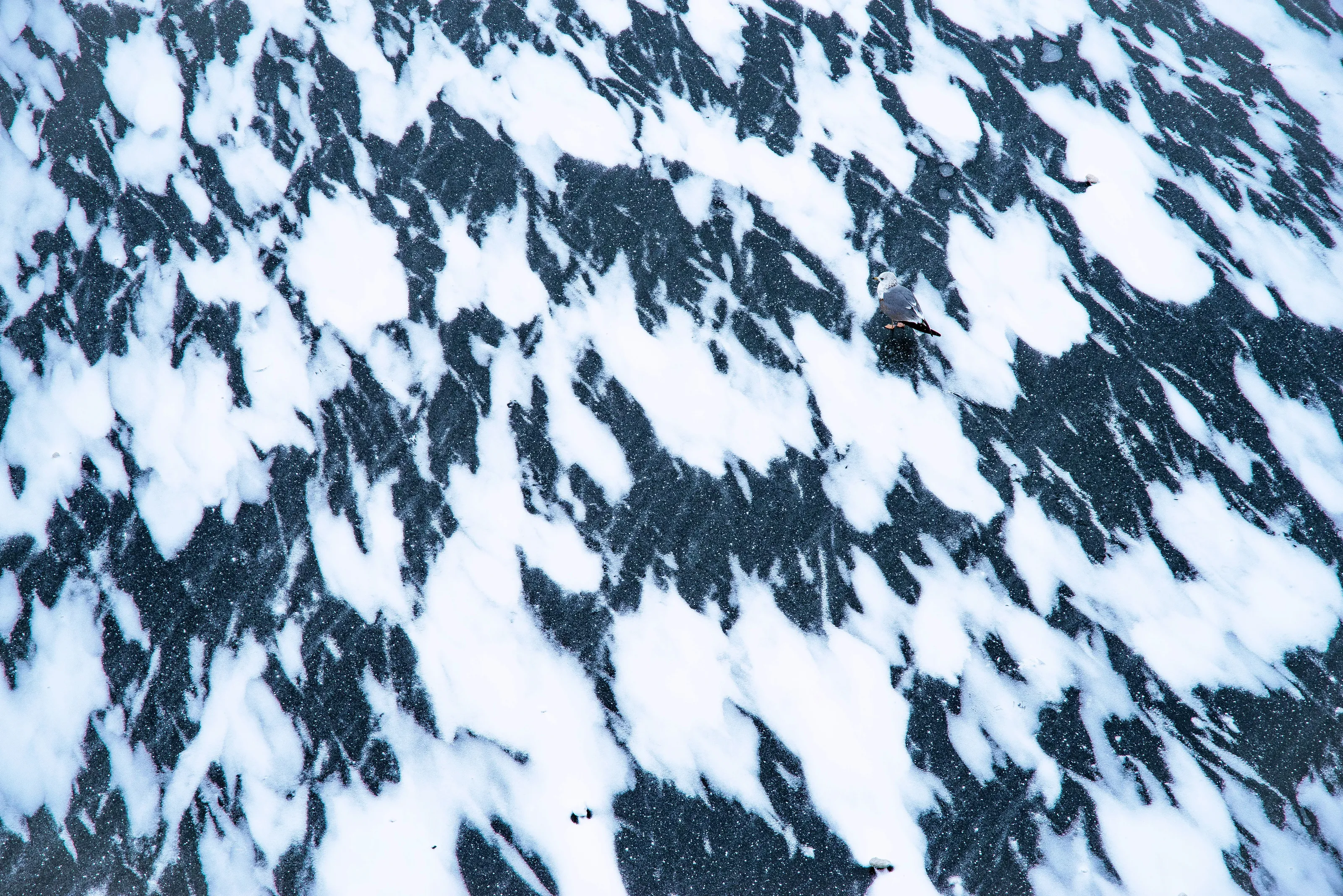 Winter pattern