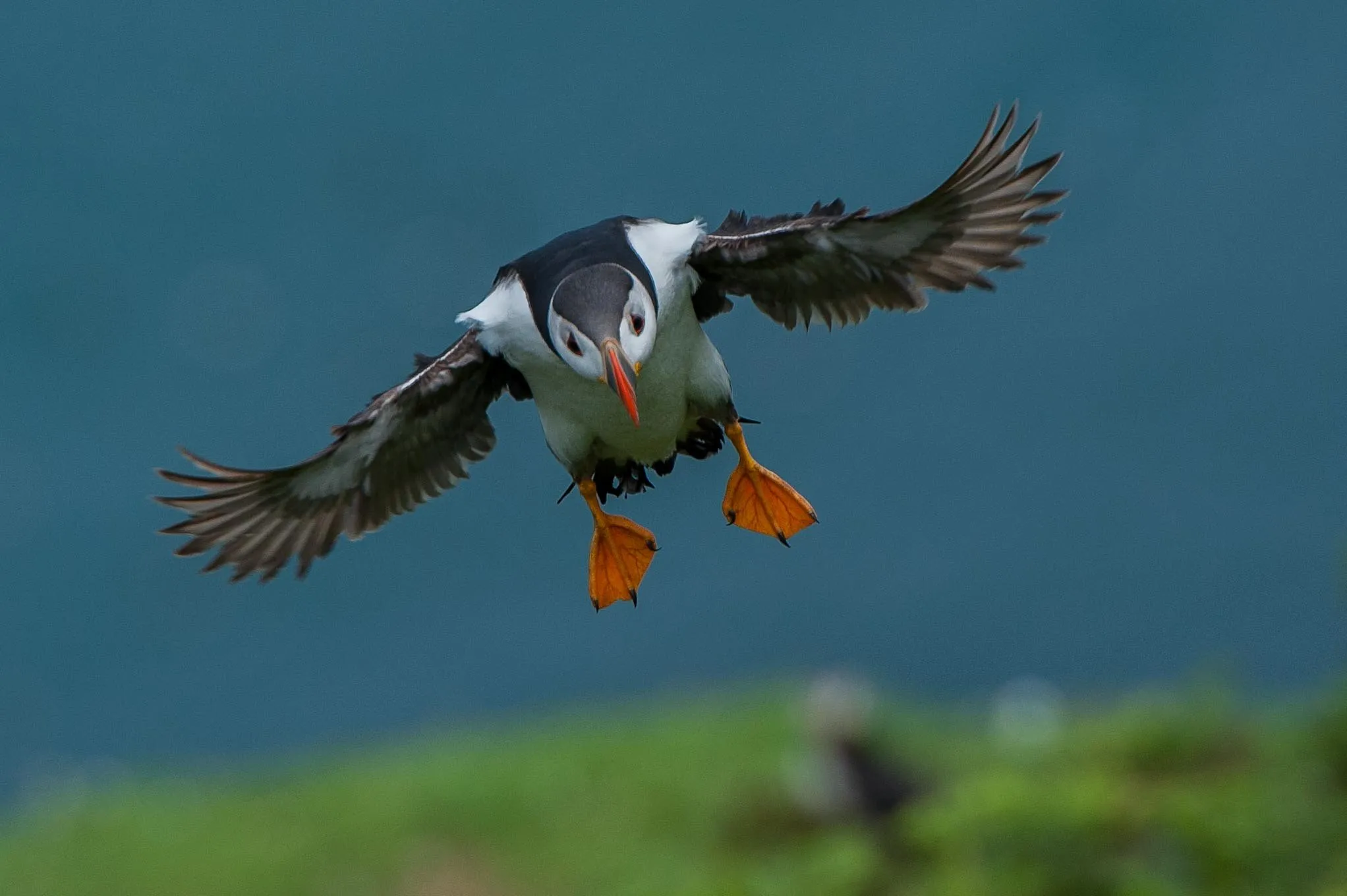 landing gear down