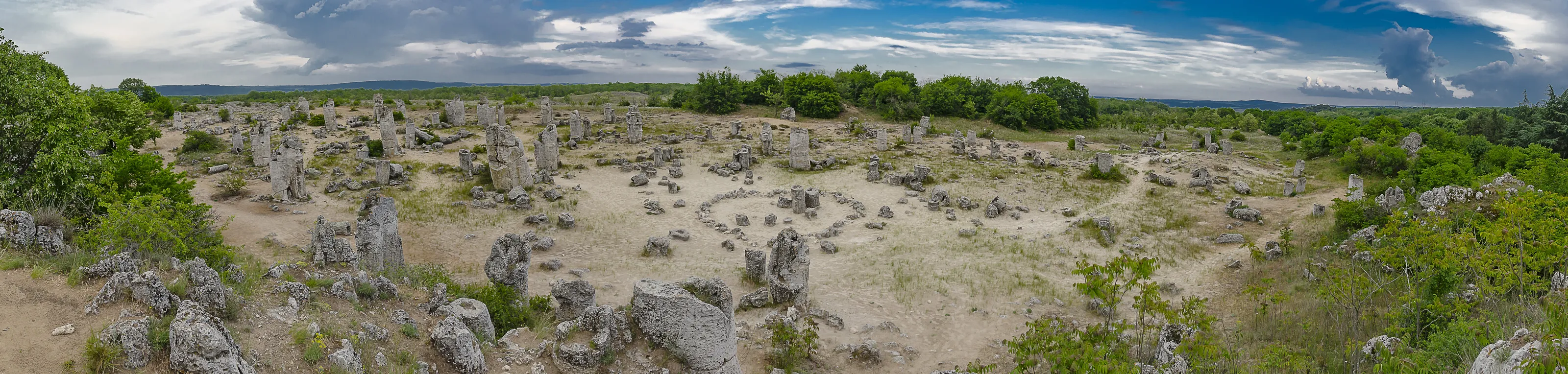 The Stone forest