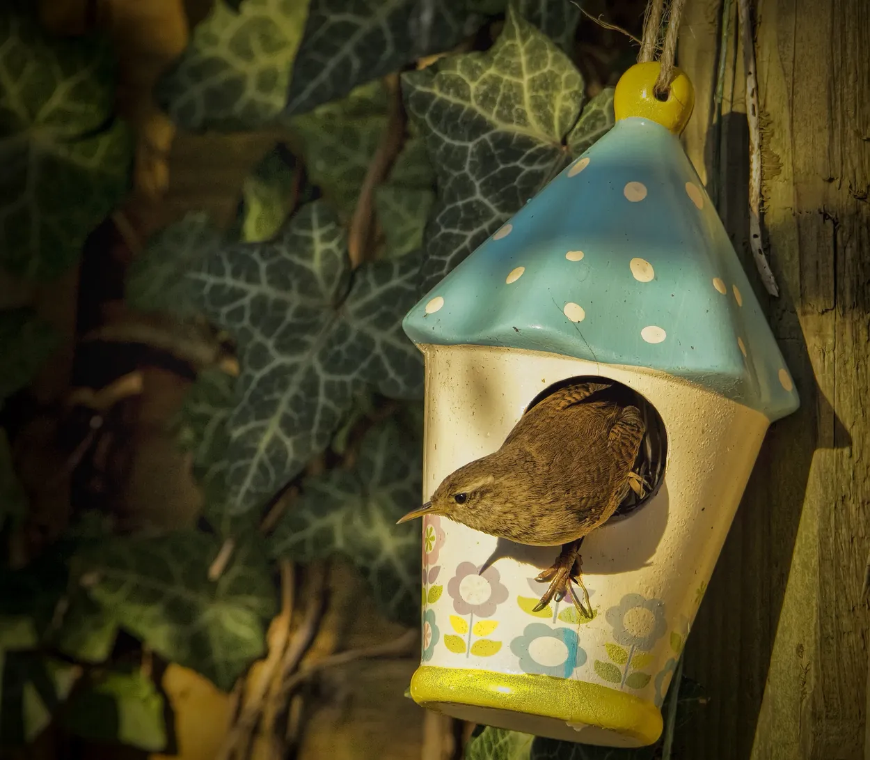 Entry 9366597