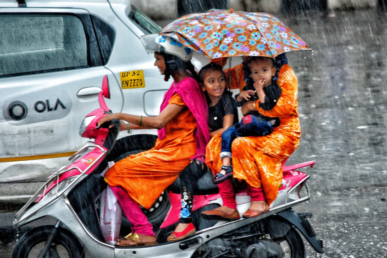 Entry 3335891
