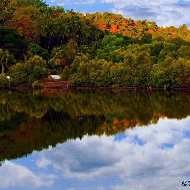 Reflection