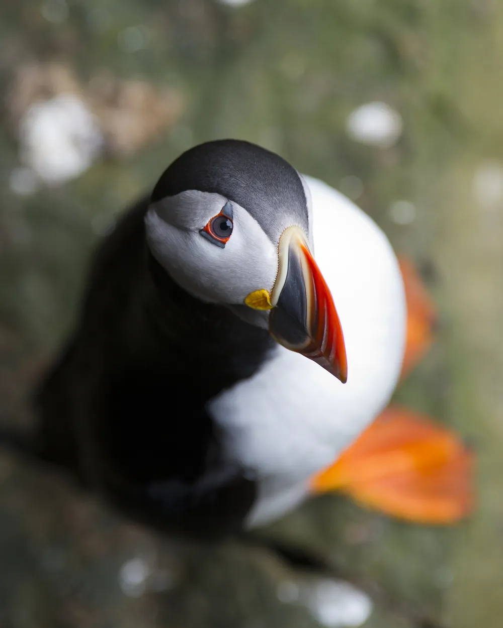 I've got my eye on you!