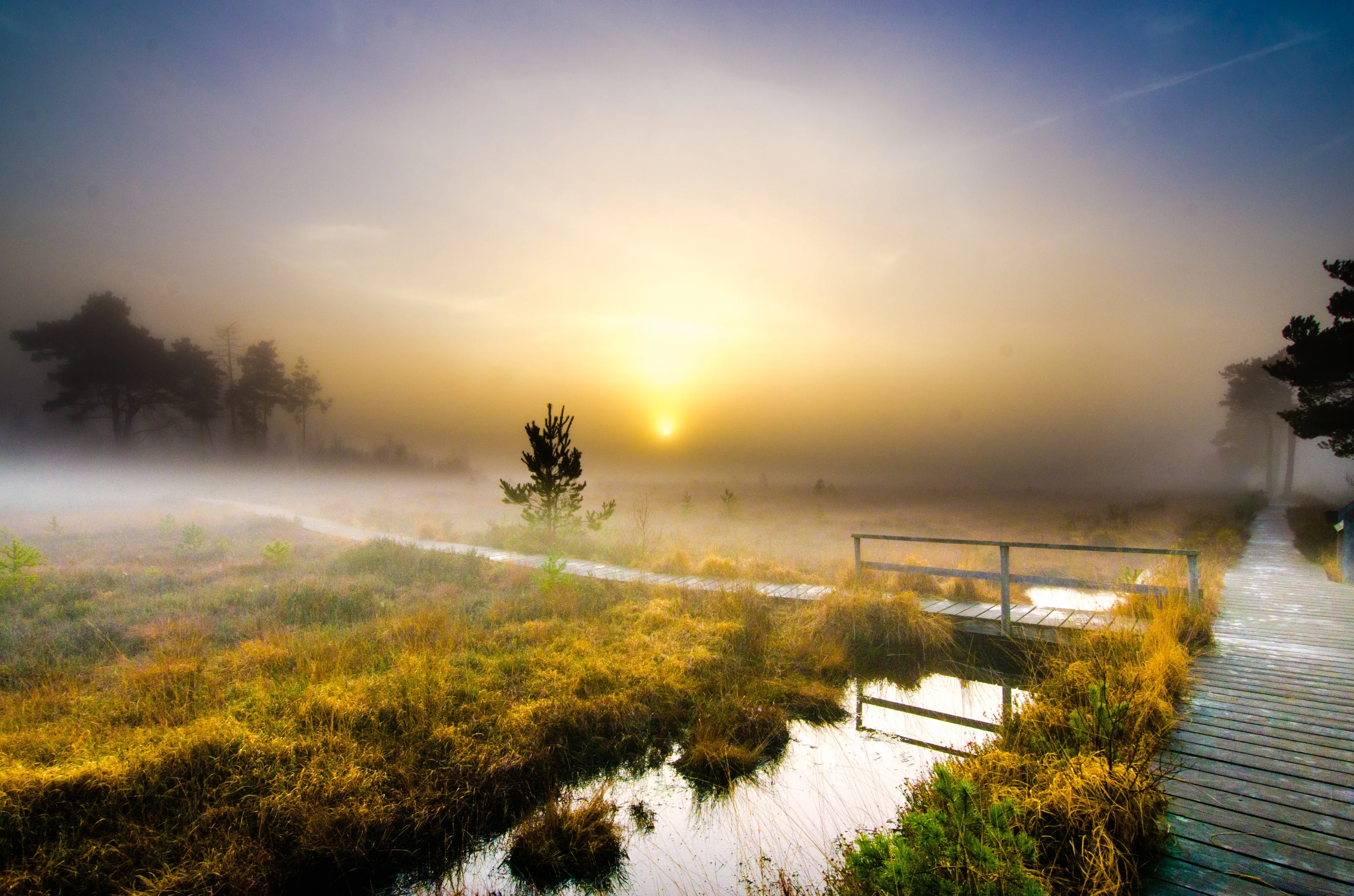 Misty winter sunset