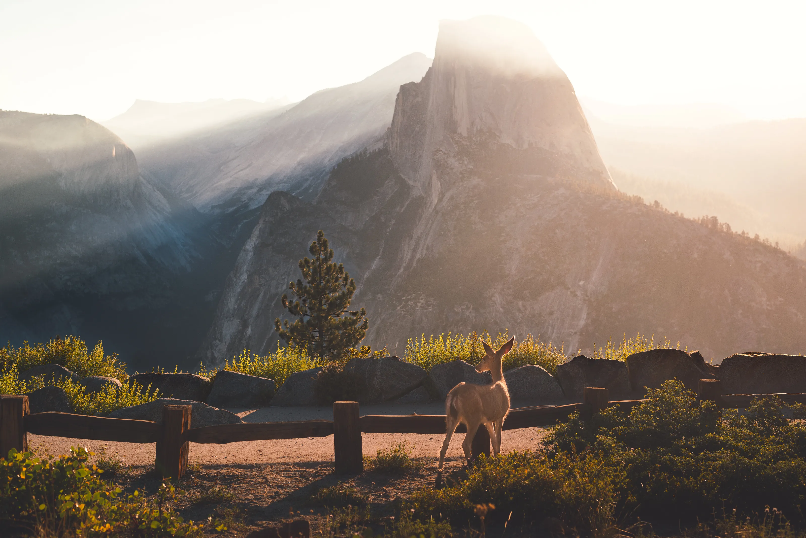Natures Solidarity