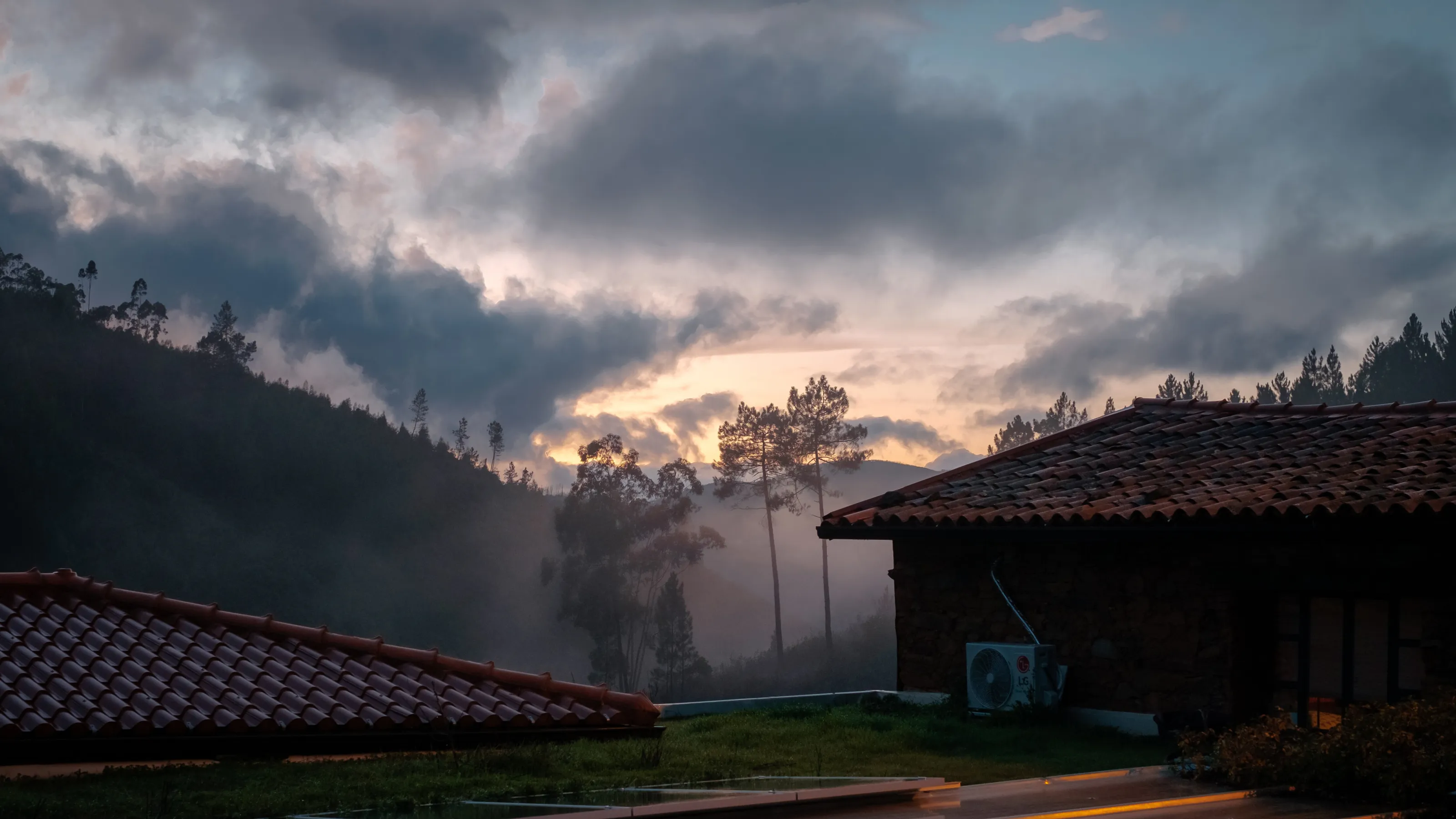 Mist in the Valley