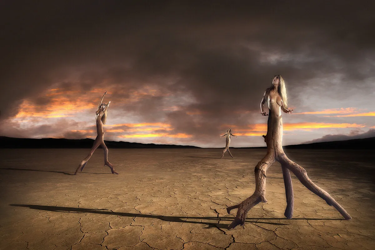 Entry 3359702