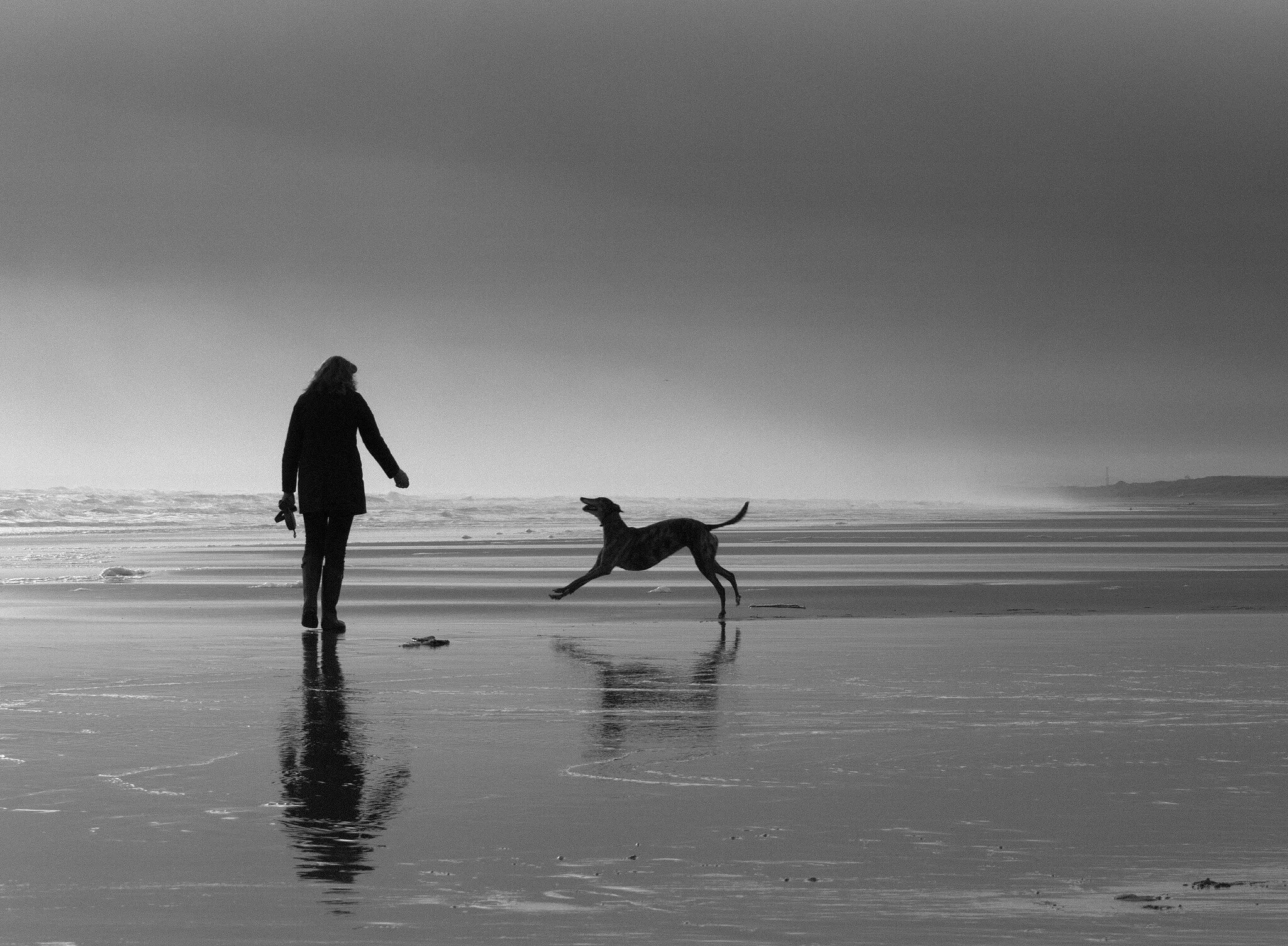 The simple joy of travelling with a hound.