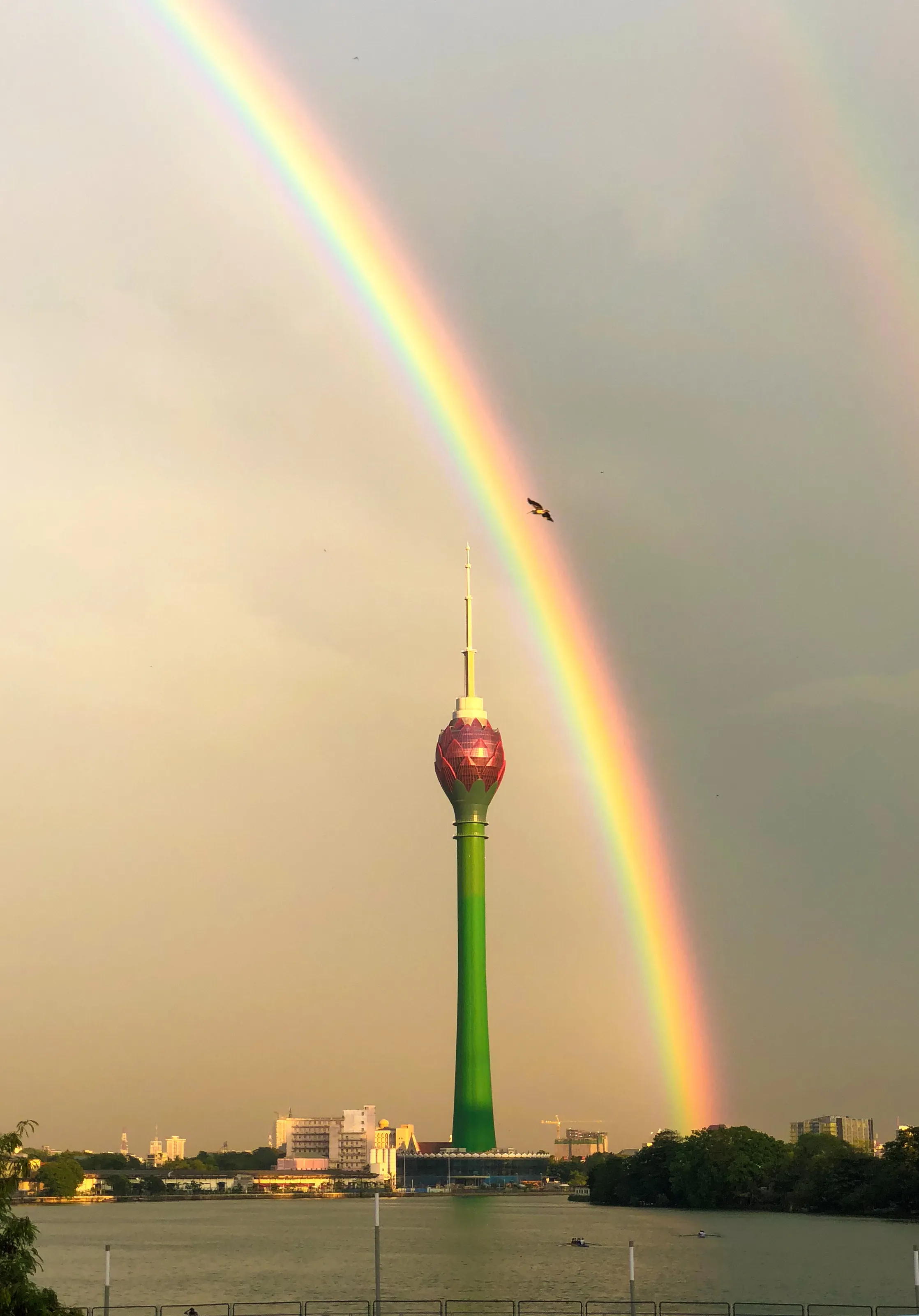 Under the shade of double rainbow