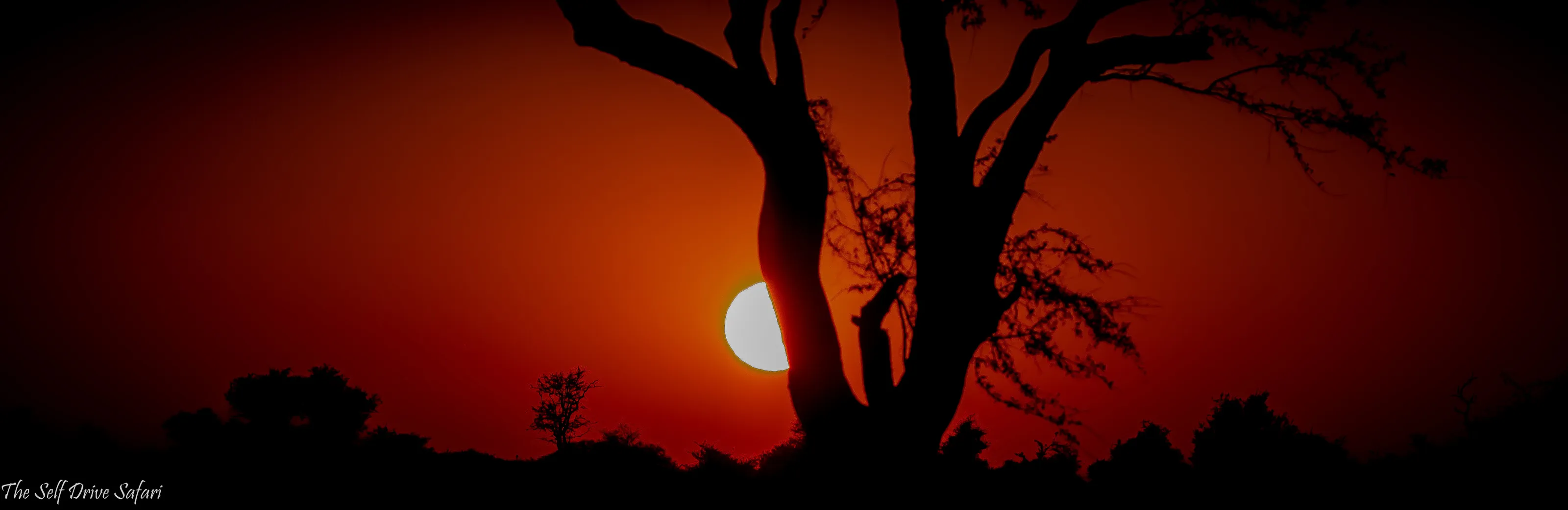 "Africa, my home"