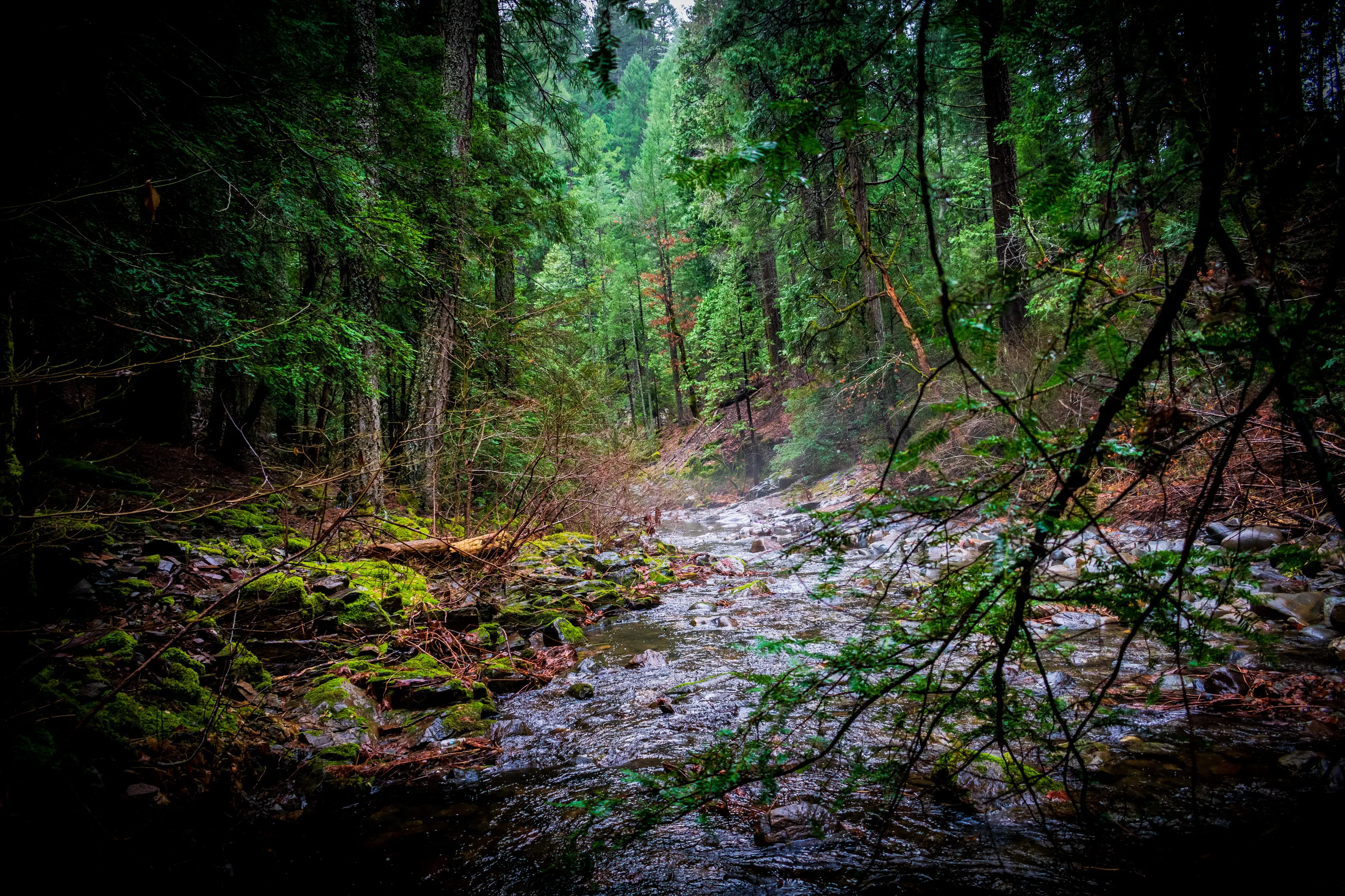 Down river