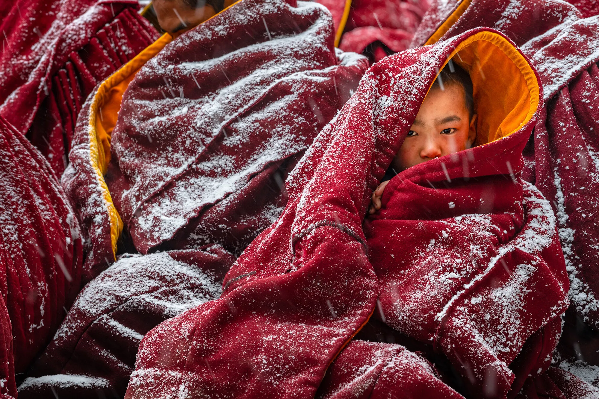 Little monk