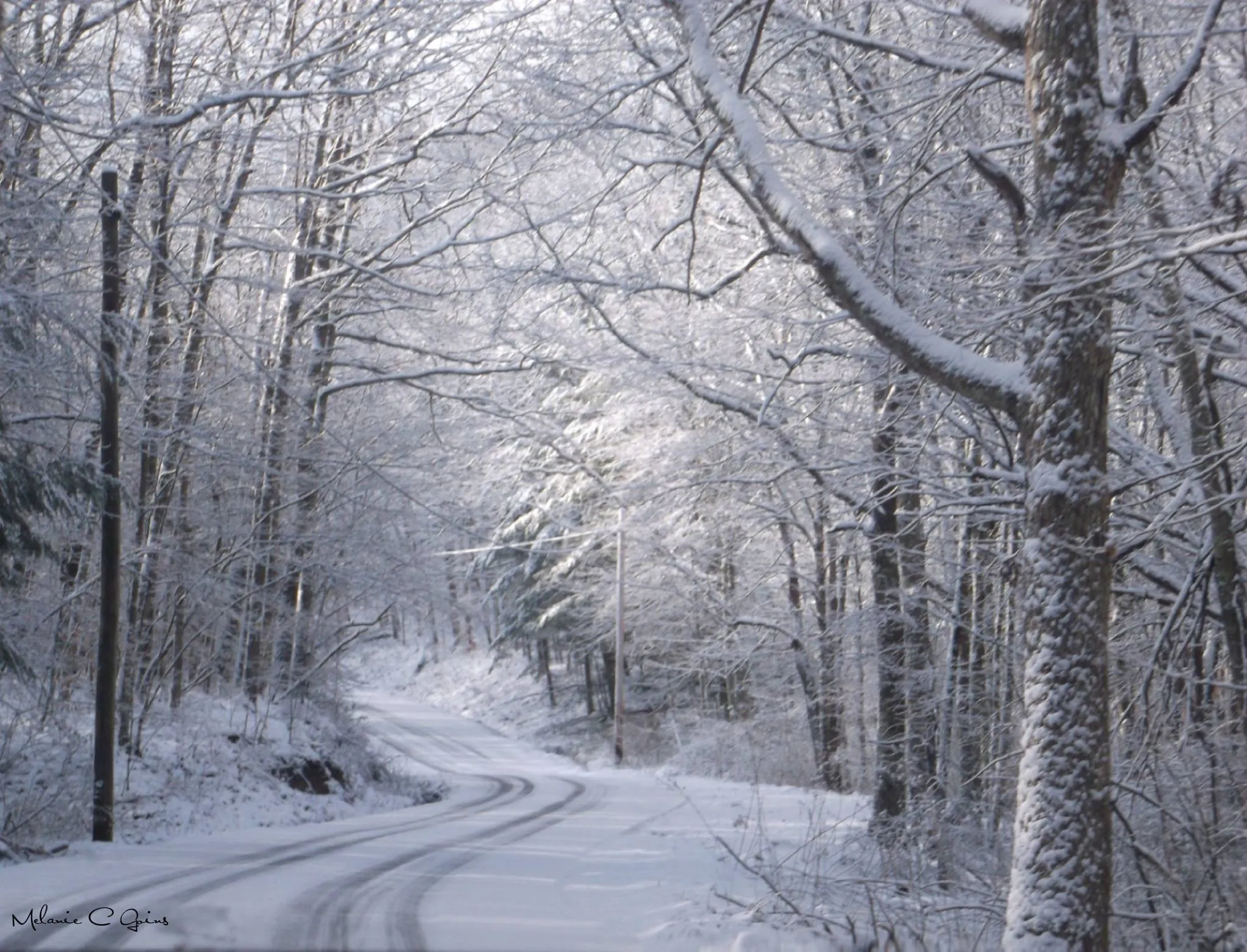 Christmas On The Mountain....