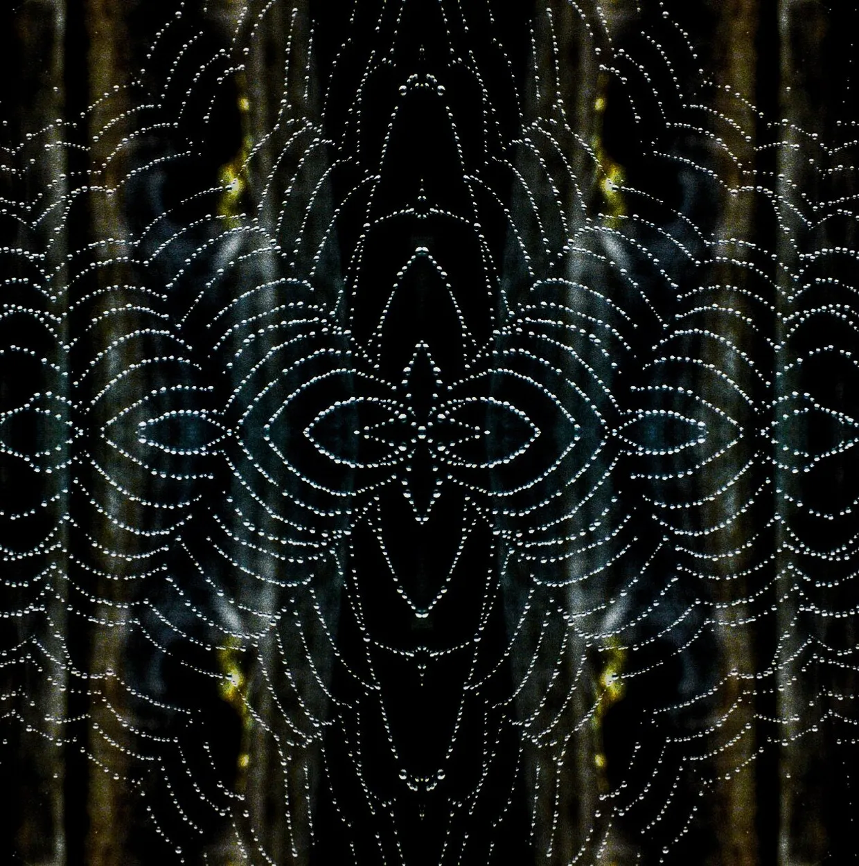 Entry 4310001