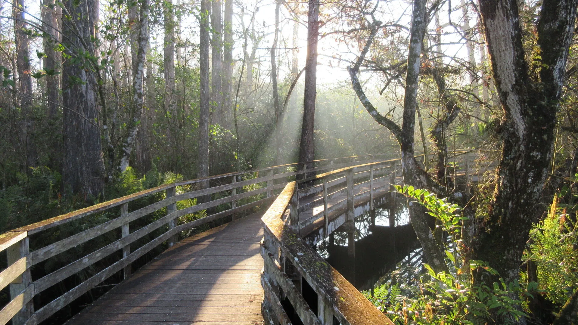 Sunbeams on the Boardwalk