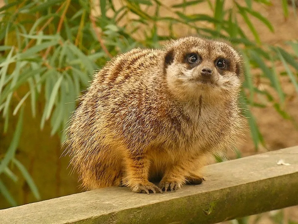 Entry 3374359