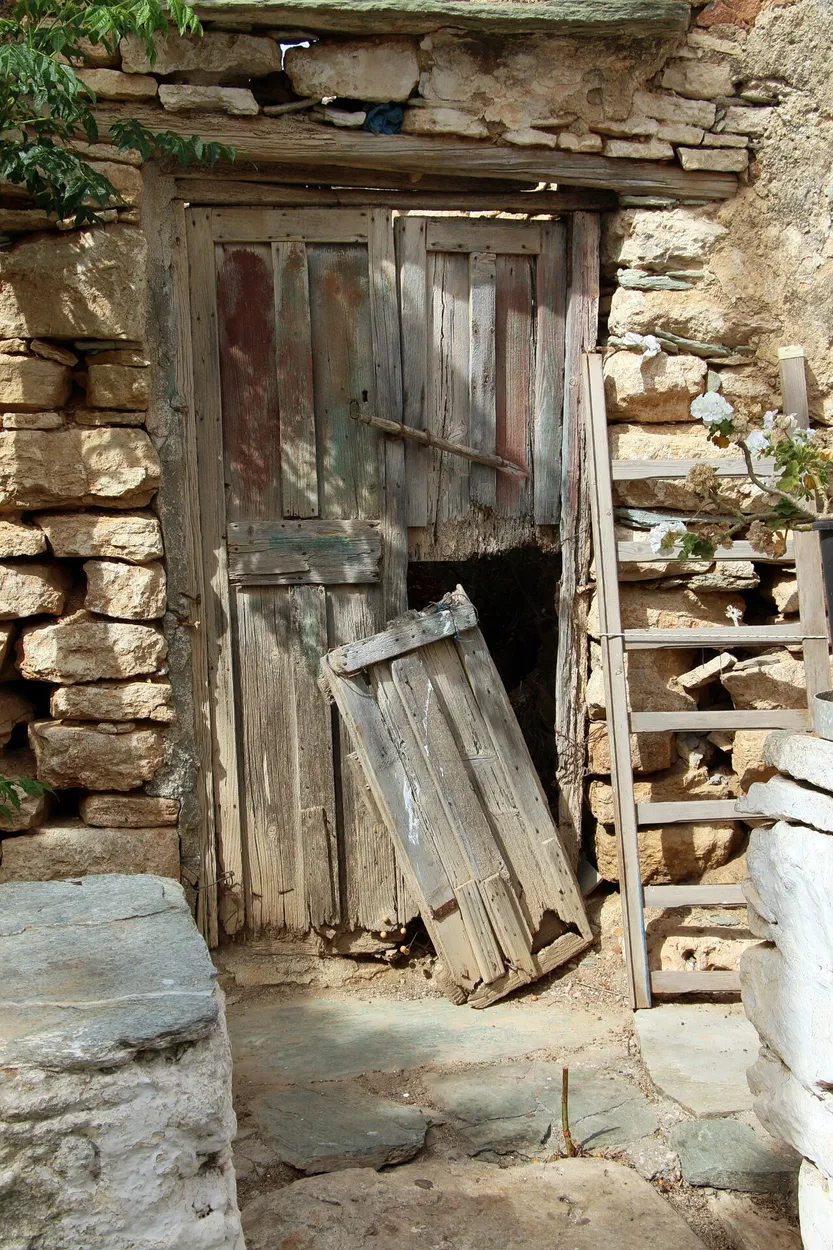 Entry 11102800