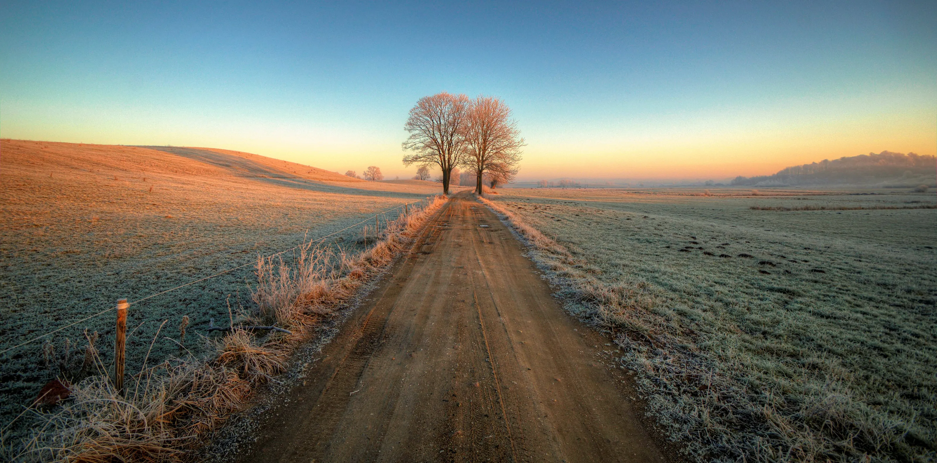 Frosty Morning