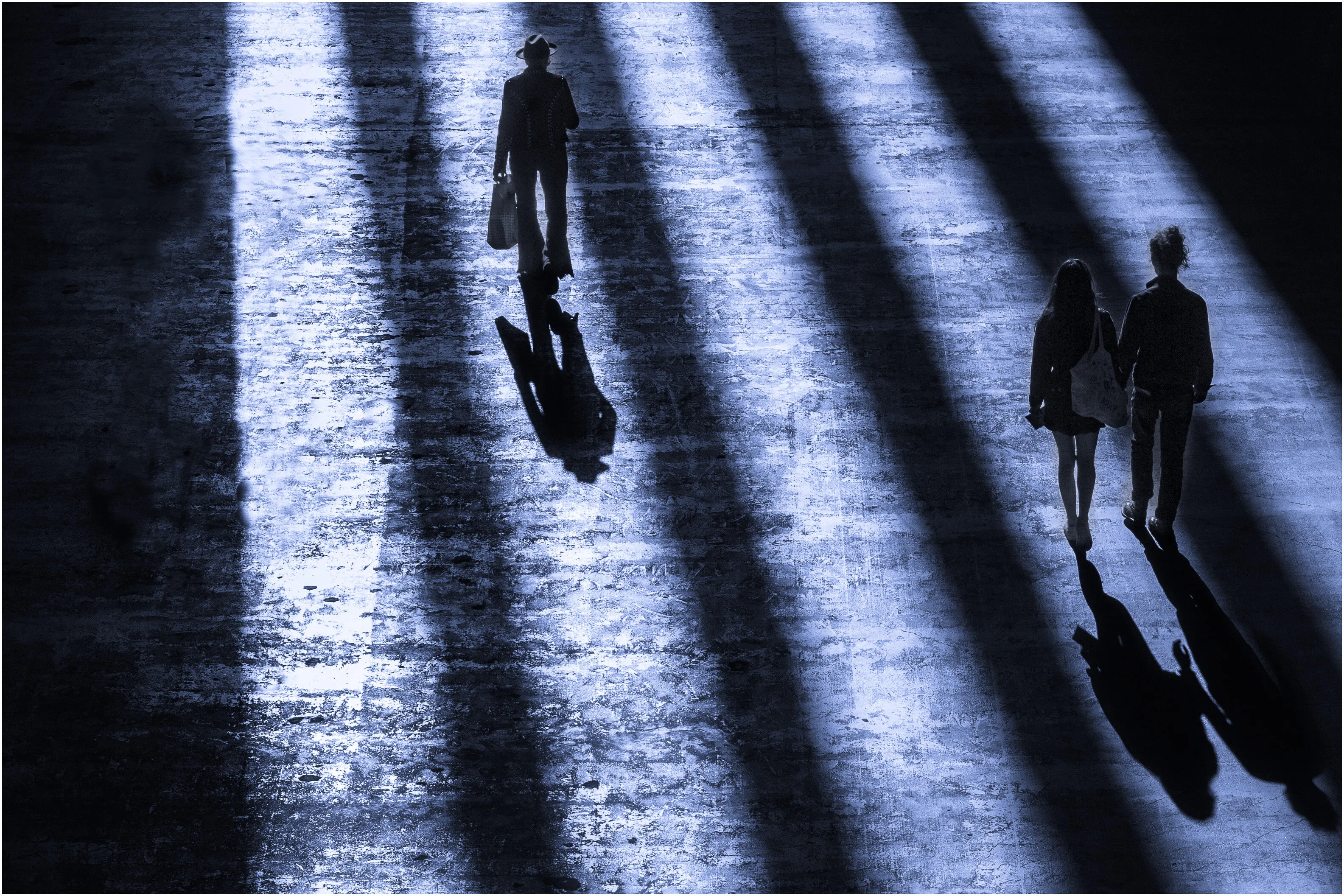 Follow the Light