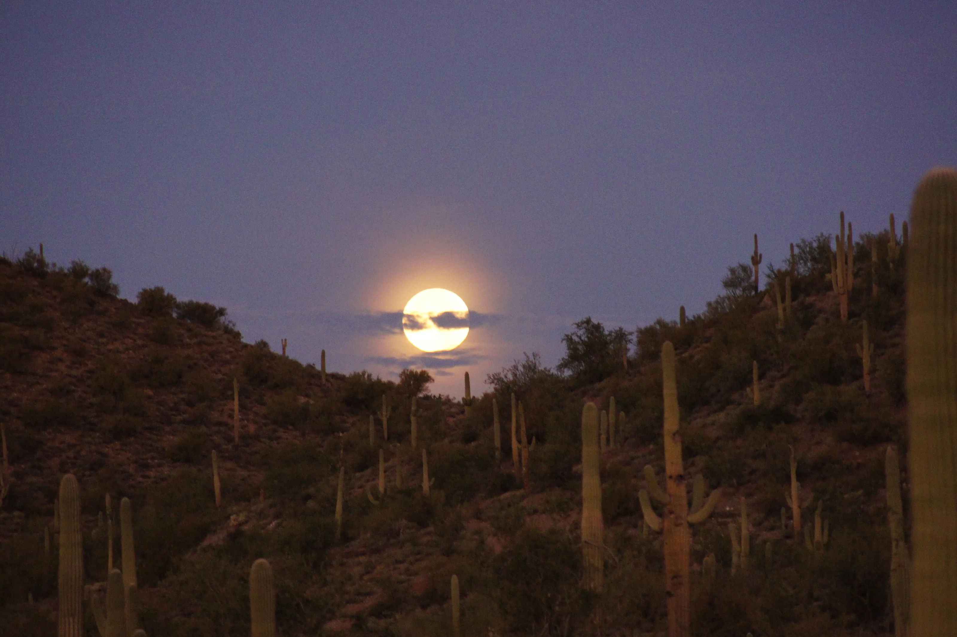 Moonset